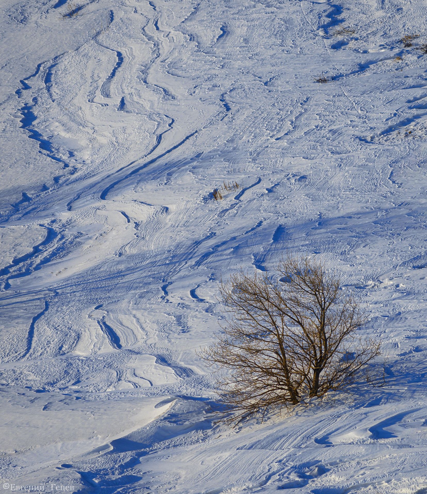 россия, пейзаж, зима, снег, горы, дерево, Евгений Гецев