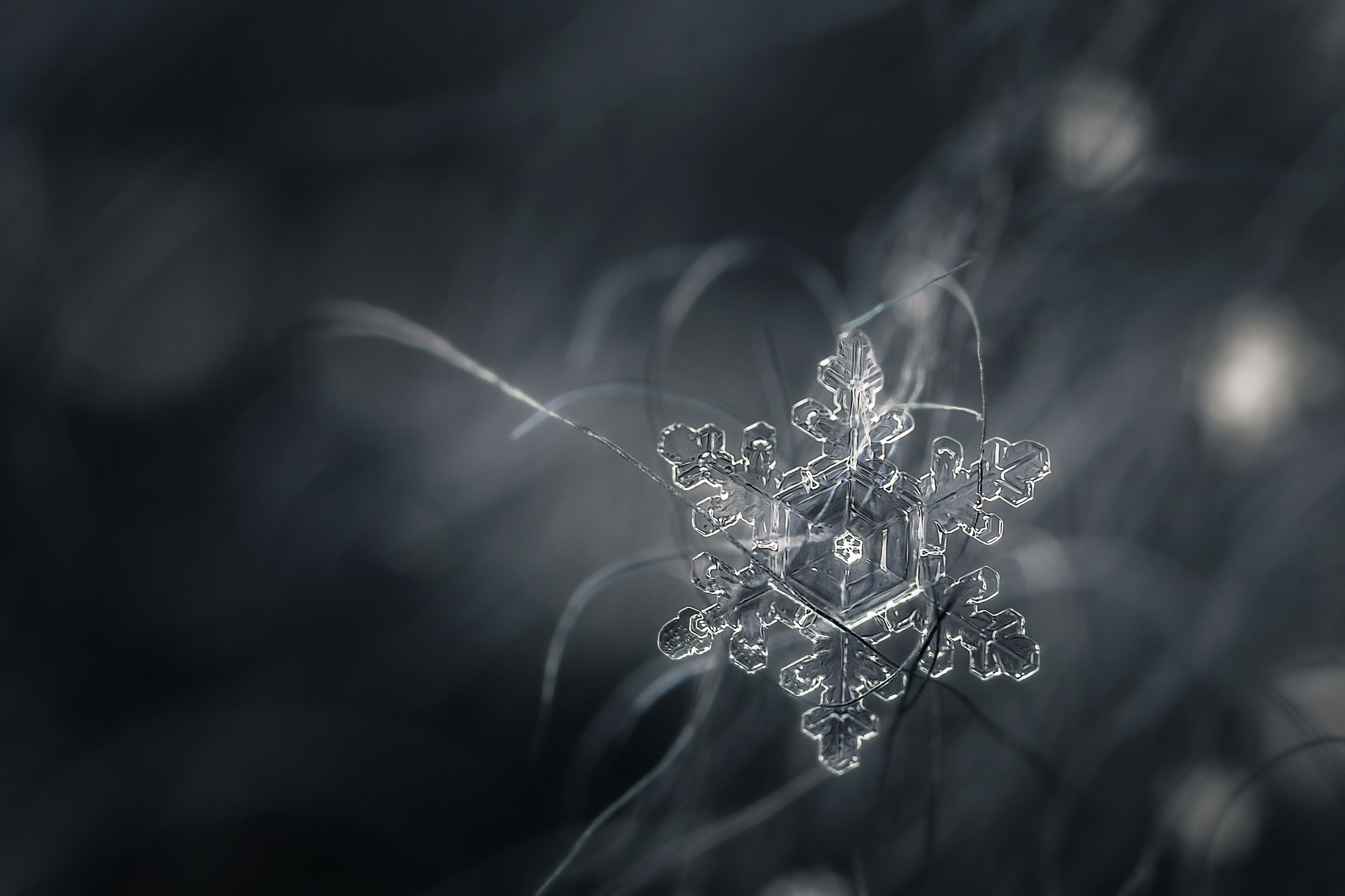 снежинка мороз снег природа макро боке фото, Еремеев Дмитрий