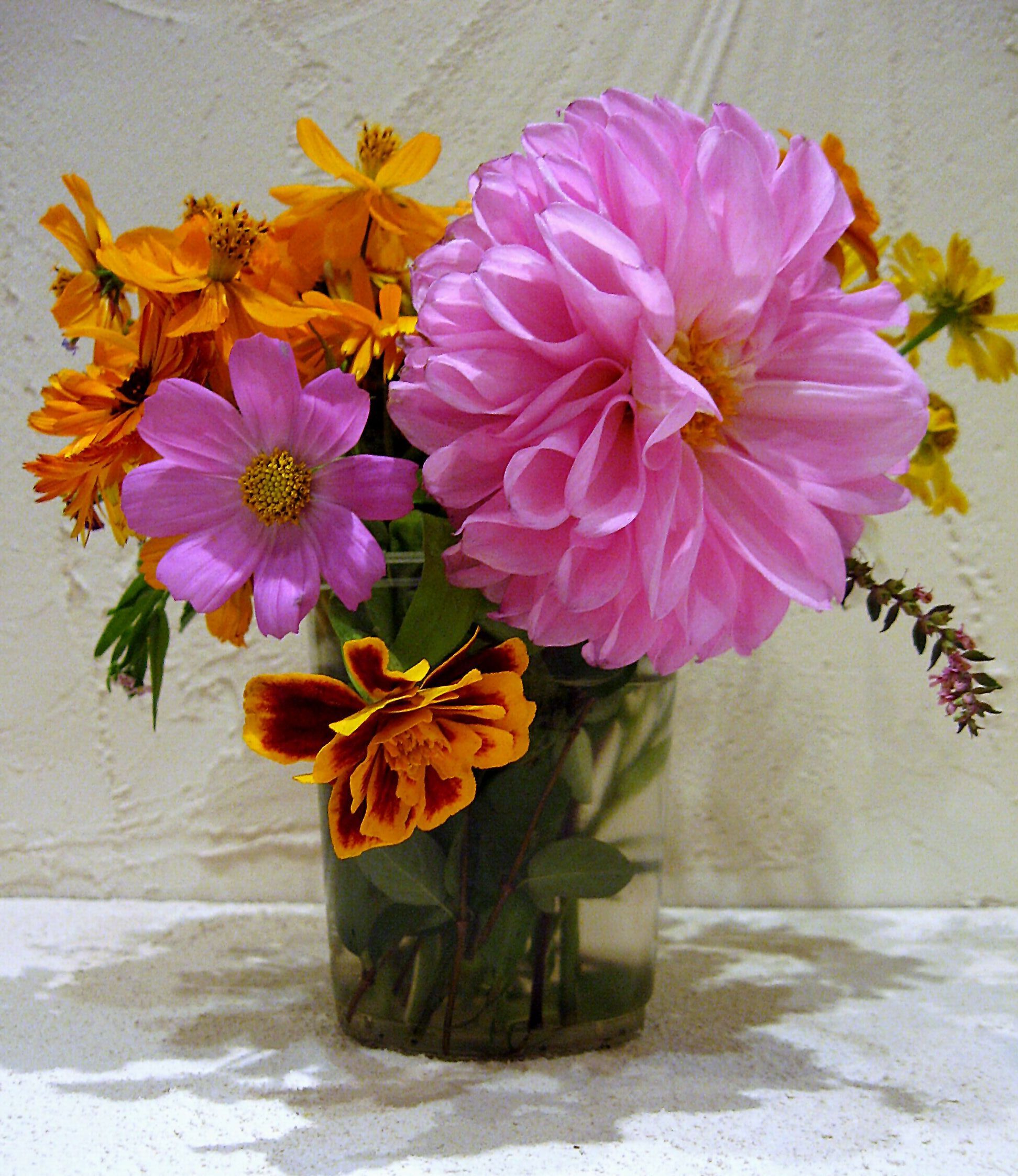 цветы, букет, георгины, космея, бархатцы, Наталия Тихомирова