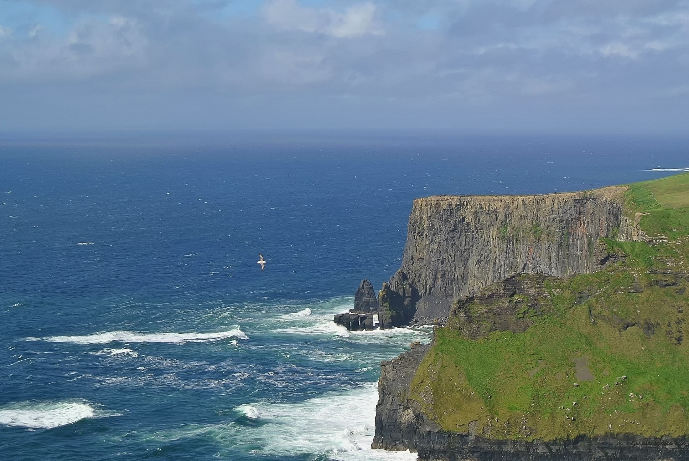 ireland, atlantic ocean,cliffs of moher, Лайко Марина