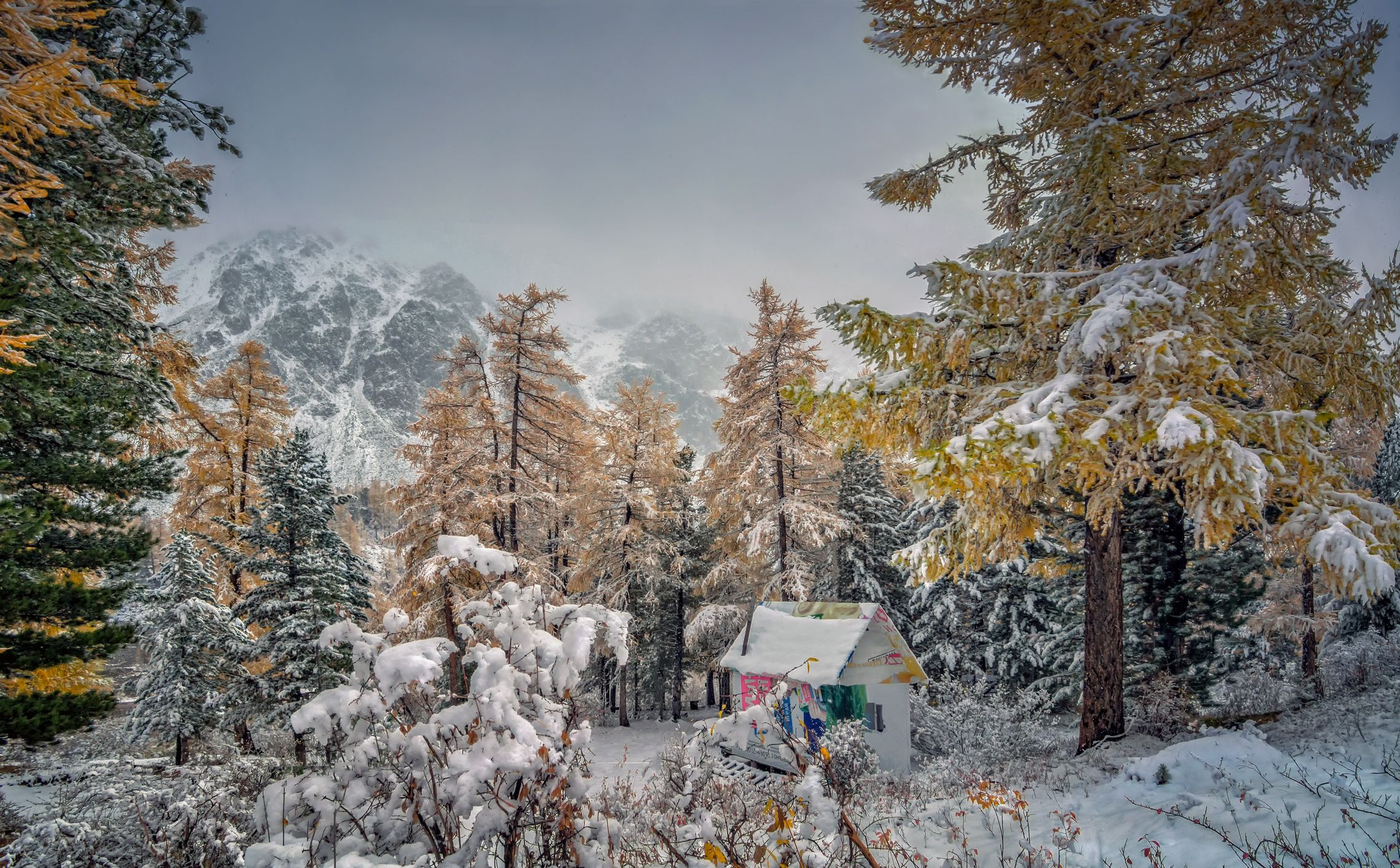 горный алтай,актру,осень,снег,домик, lora_pavlova