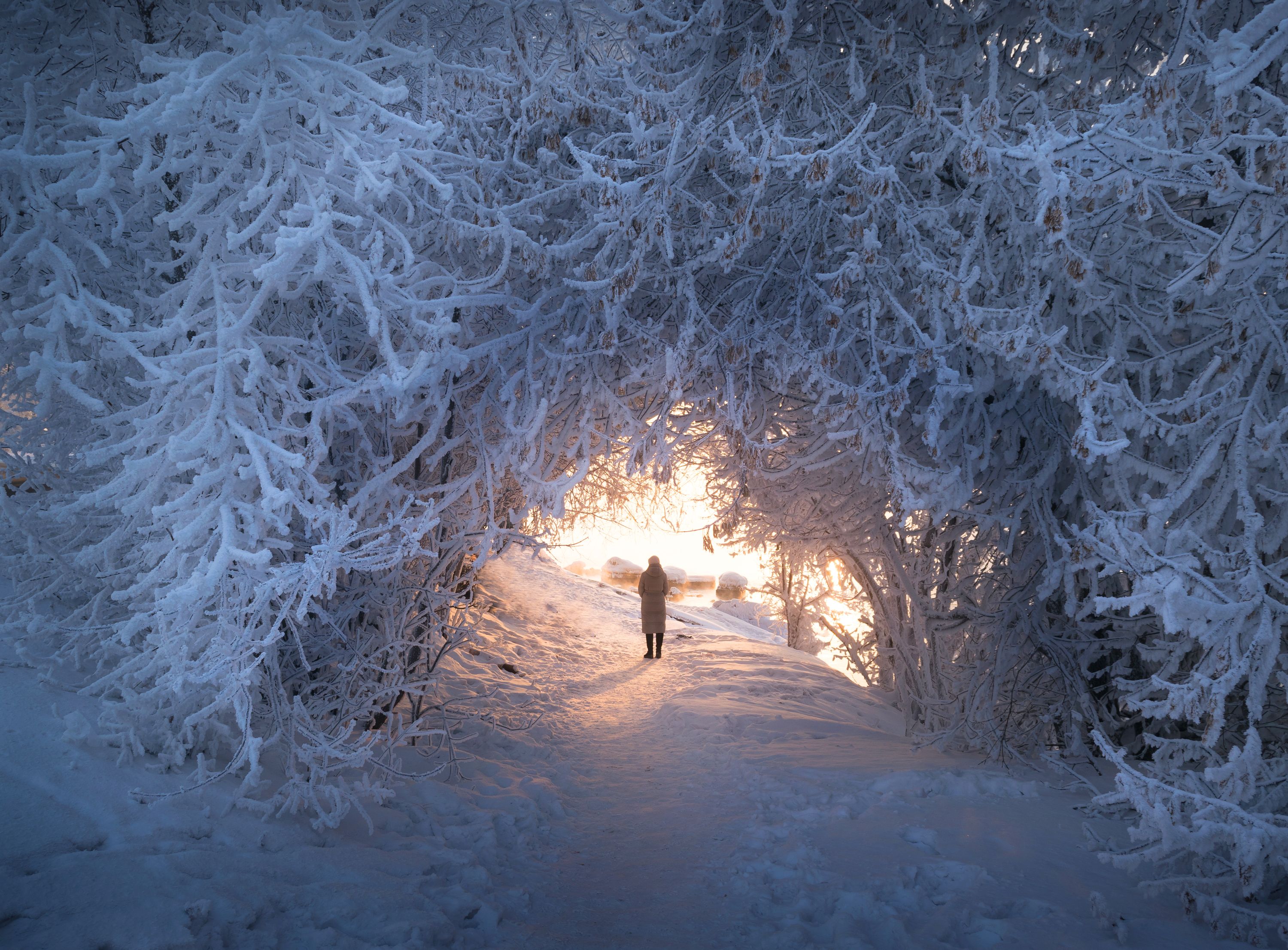 снег, зима, свет, Екатерина Назарова