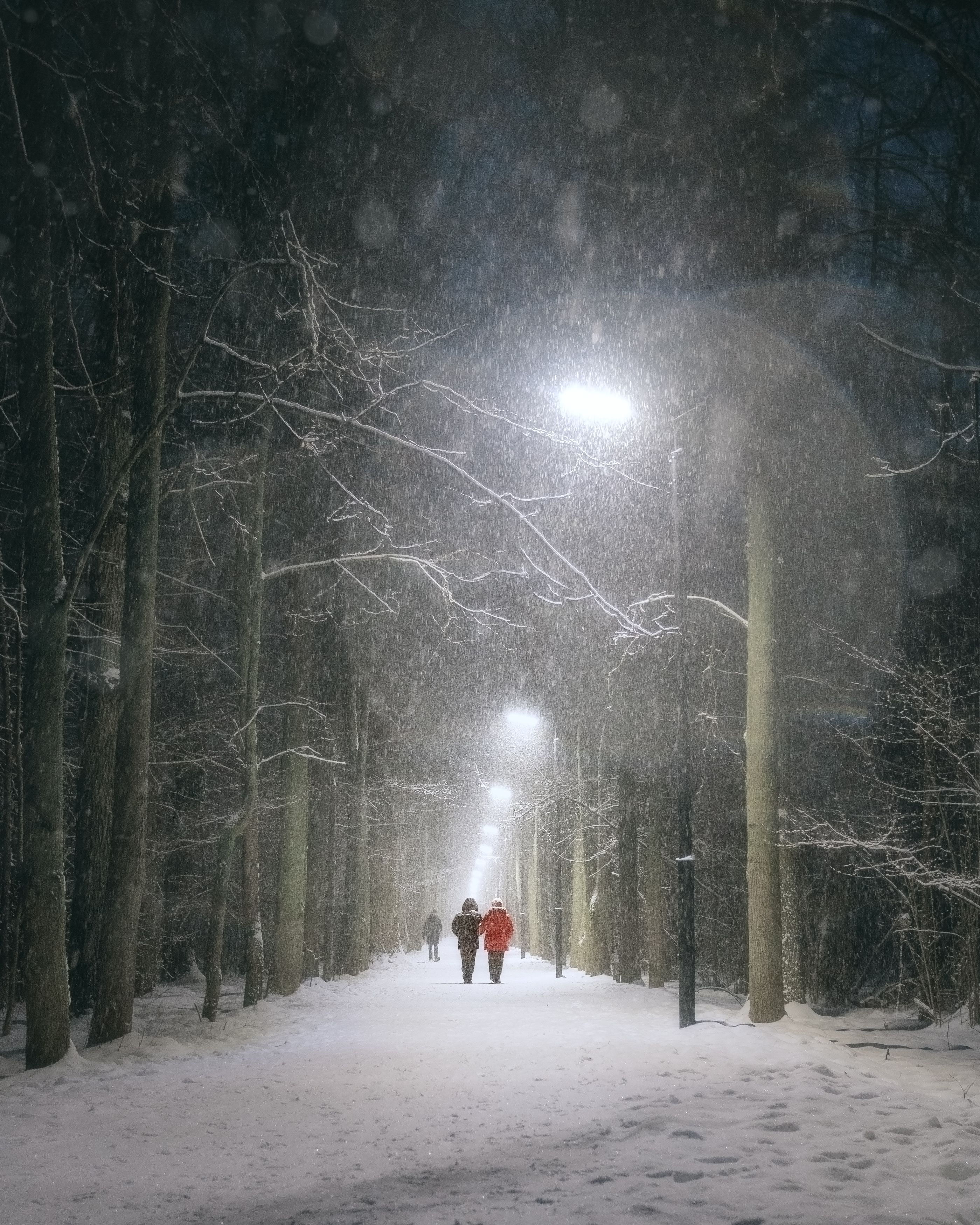 ночь, снегопад, фонари, природа, пейзаж, Мартыненко Дмитрий