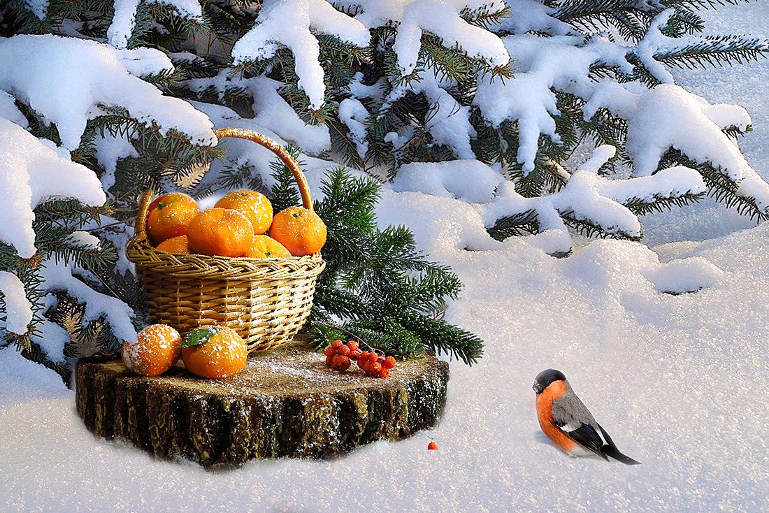 натюрморт(коллаж), елка,зима,снег,пенек,снегирь,корзина,мандарины, Алла Шевченко