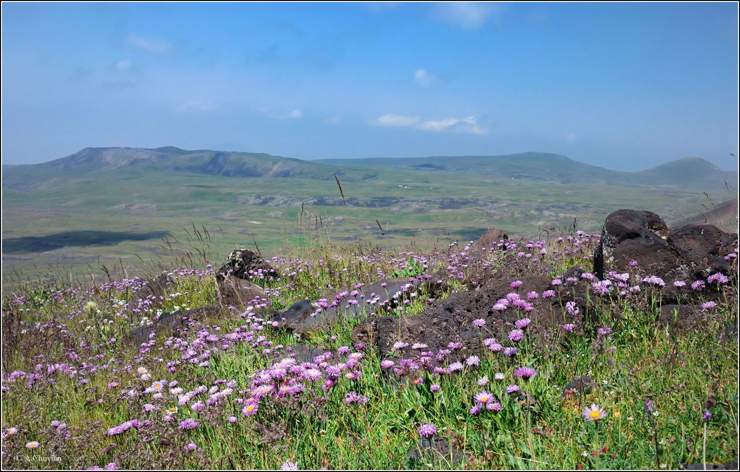 армения,горы,цветы, Александр Чувилин