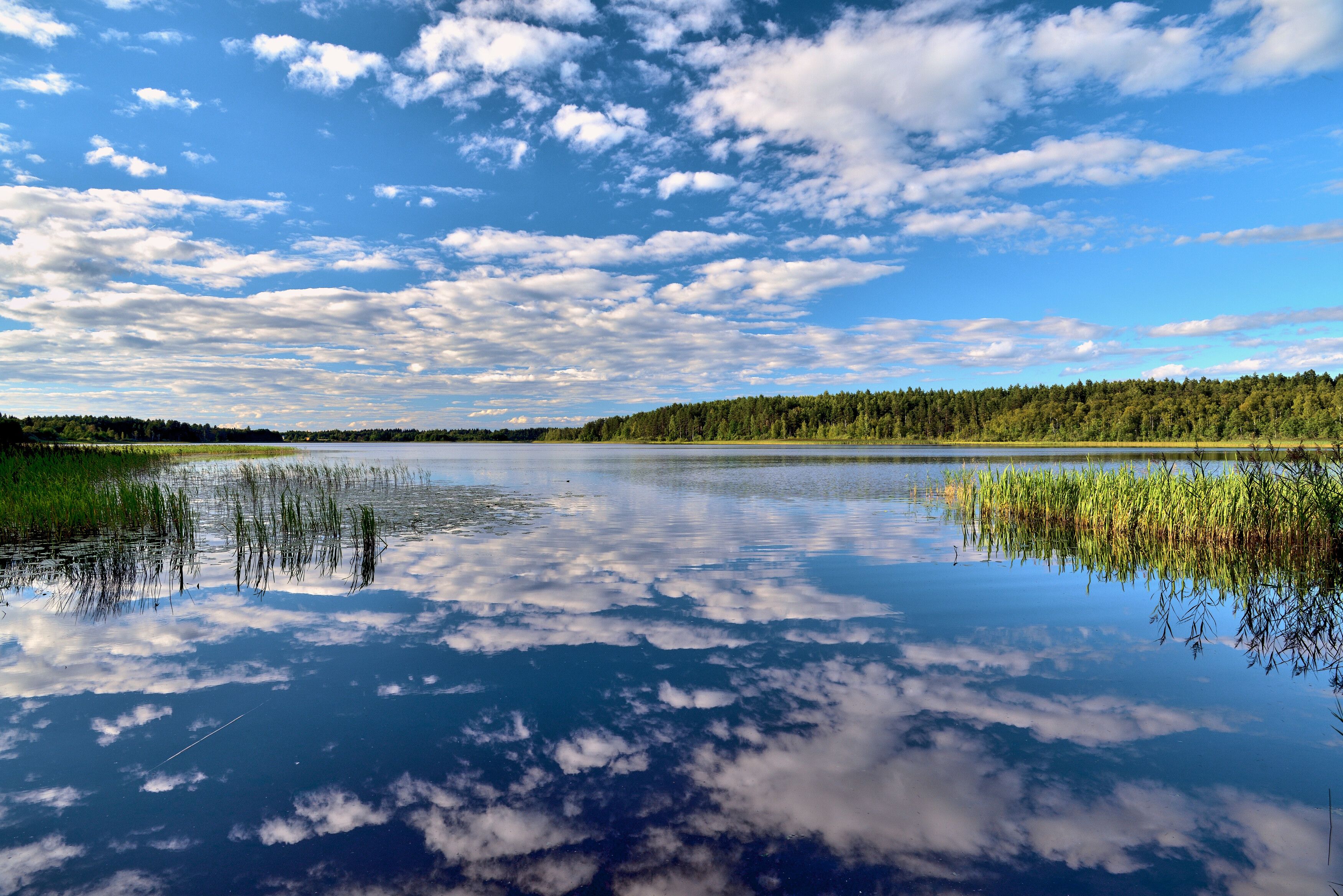 тверская область, озеро, небо, отражение,, Байдуков Александр