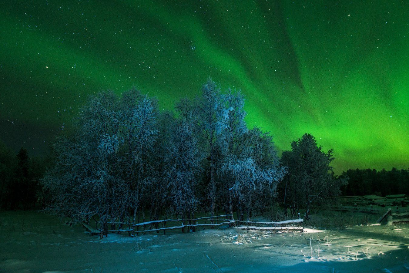 Aurora borealis, Заморозки, Заполярье, Зима, Изморозь, Север, Северное сияние, Роман Горячий