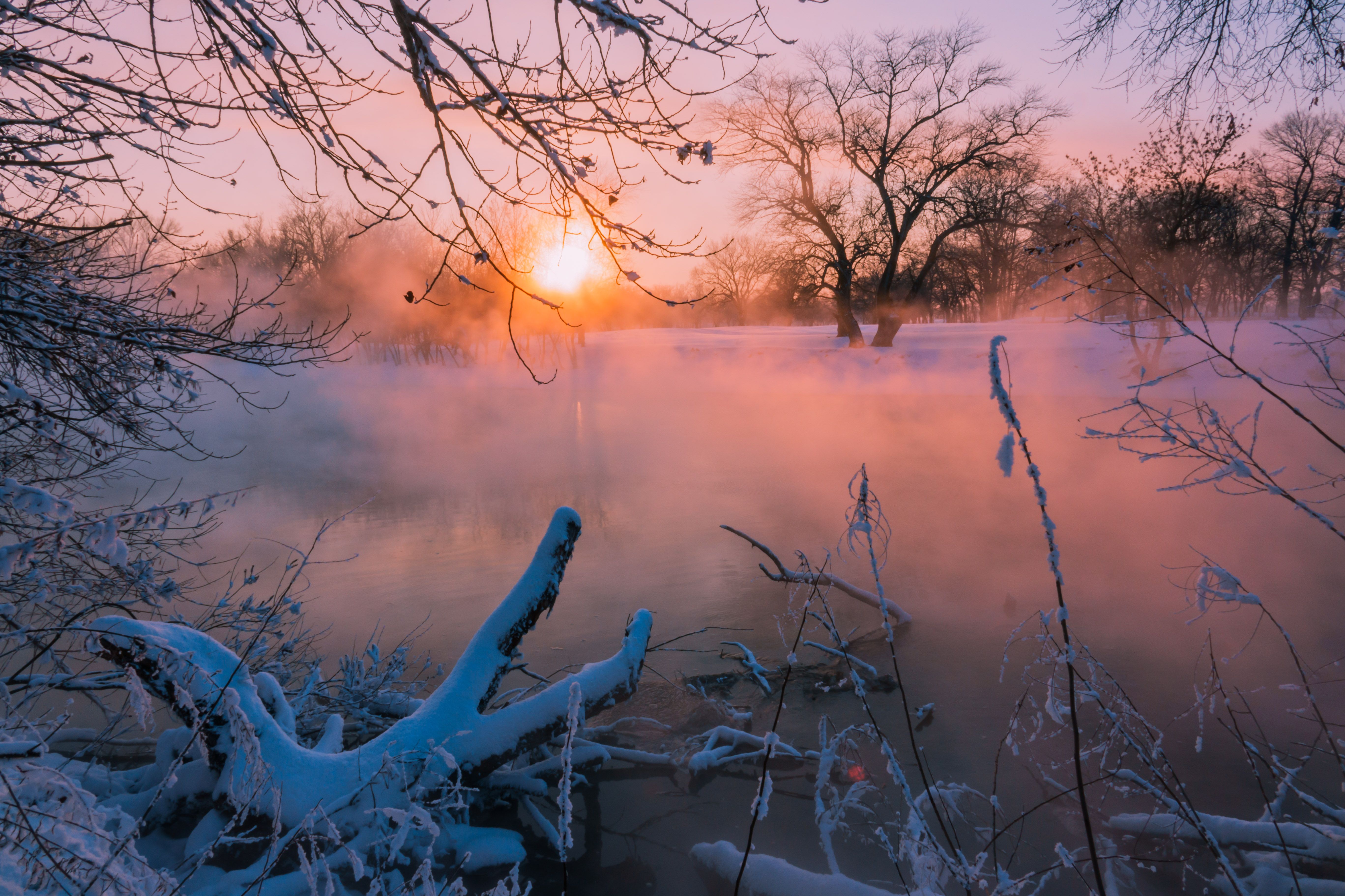 зима, снег, туман, ростовская область, река, Константин Шишкалов