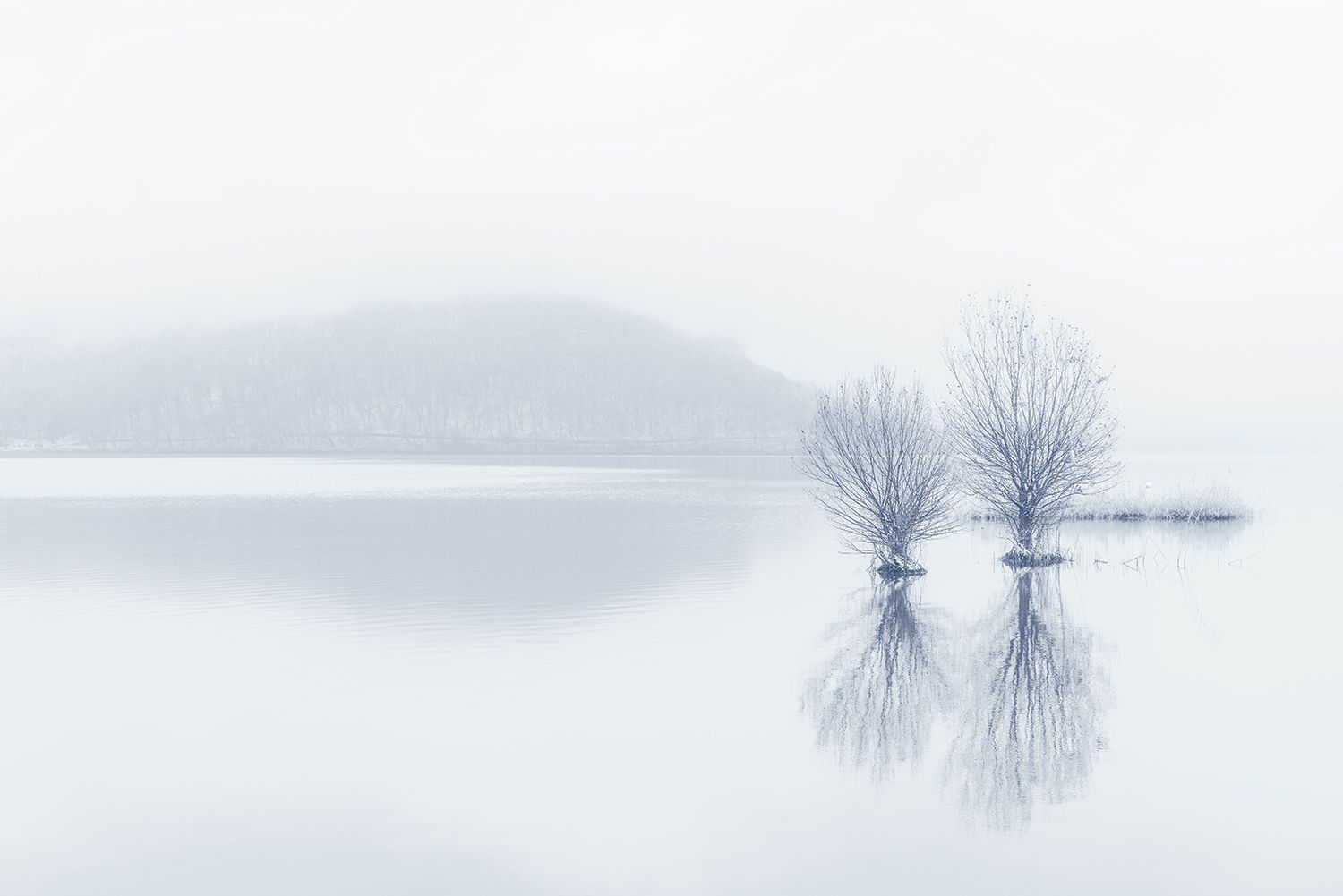 озеро, зима, туман, отражения, lake, winter, fog, Valery