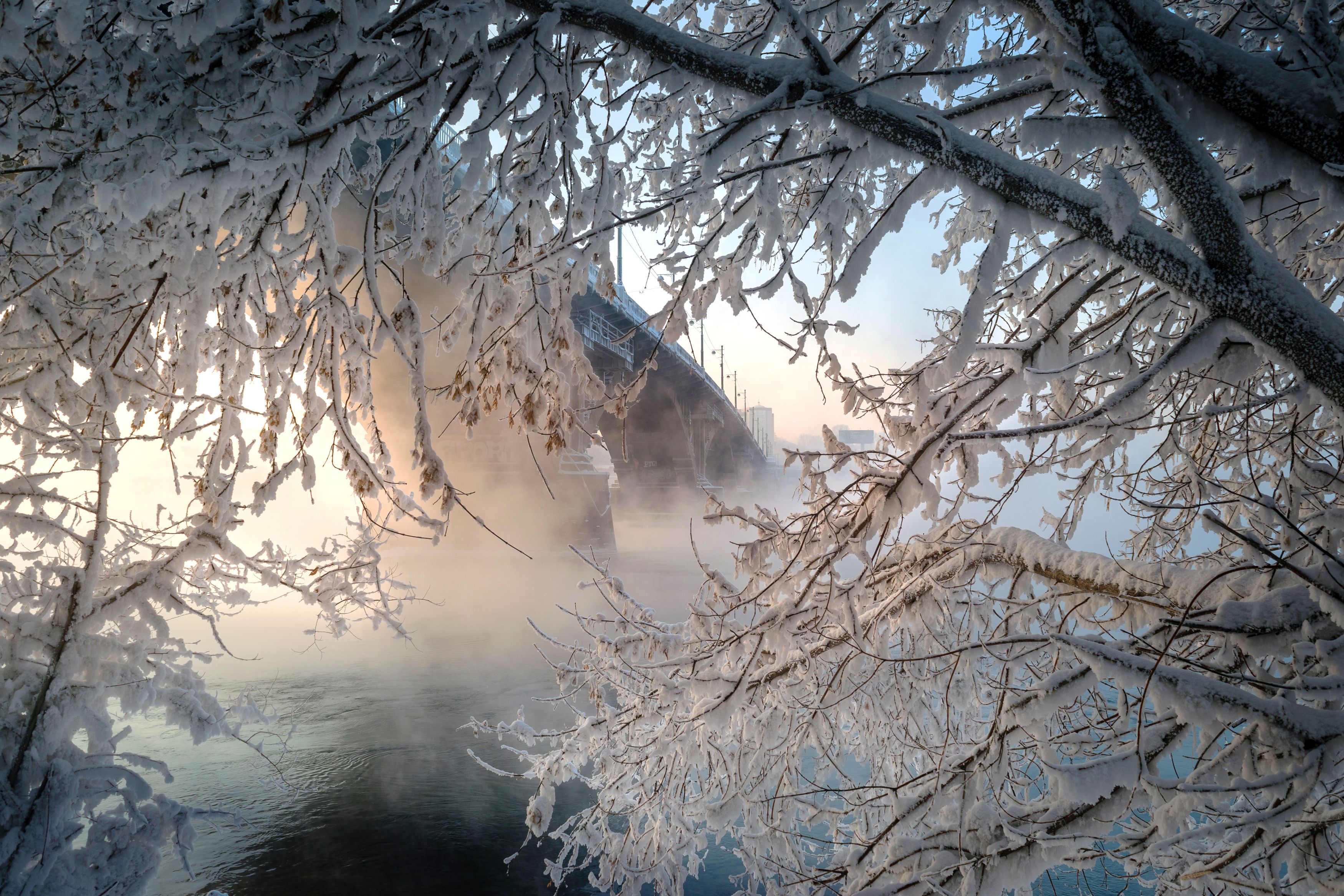 зима, мост, туман, Екатерина Назарова