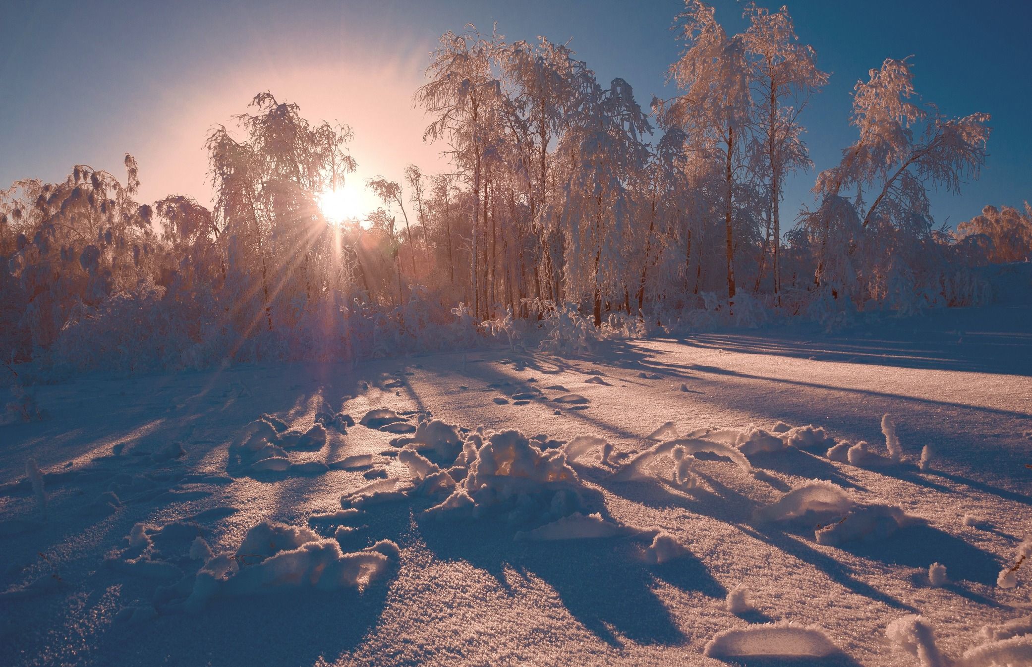 зима, солнце, снег, рассвет, Шустиков Дмитрий