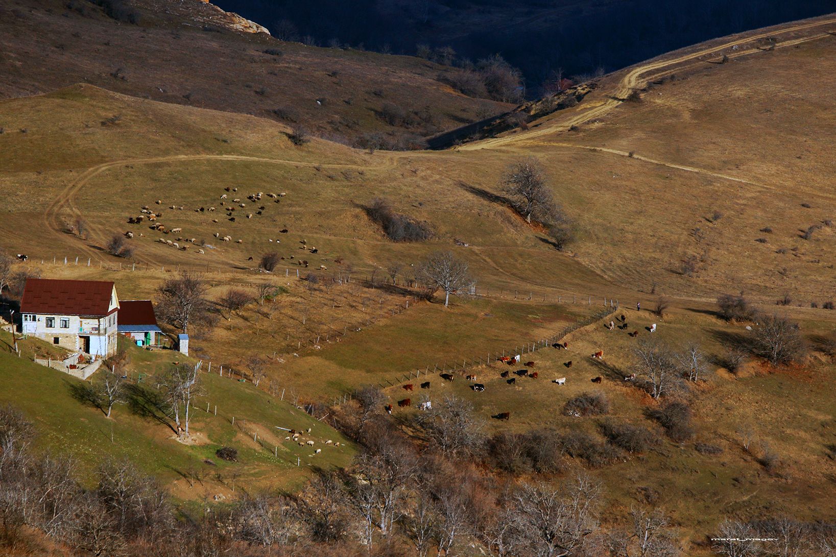 горы,село,животные,кайтаг,сурхачи,, Magov Marat