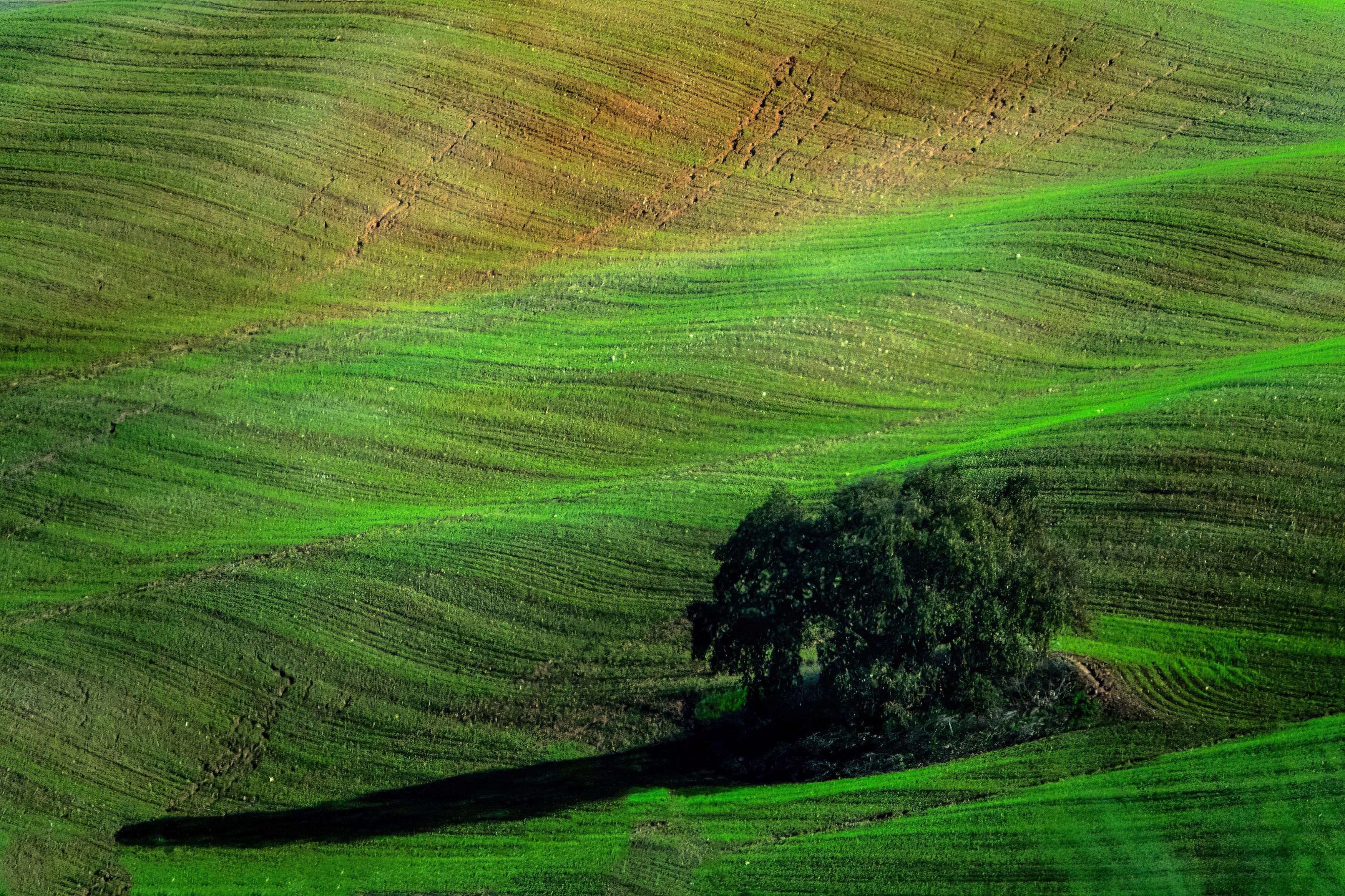 пейзаж, зеленый, холмы, landscape , green, tree,, Наталья Пирогова