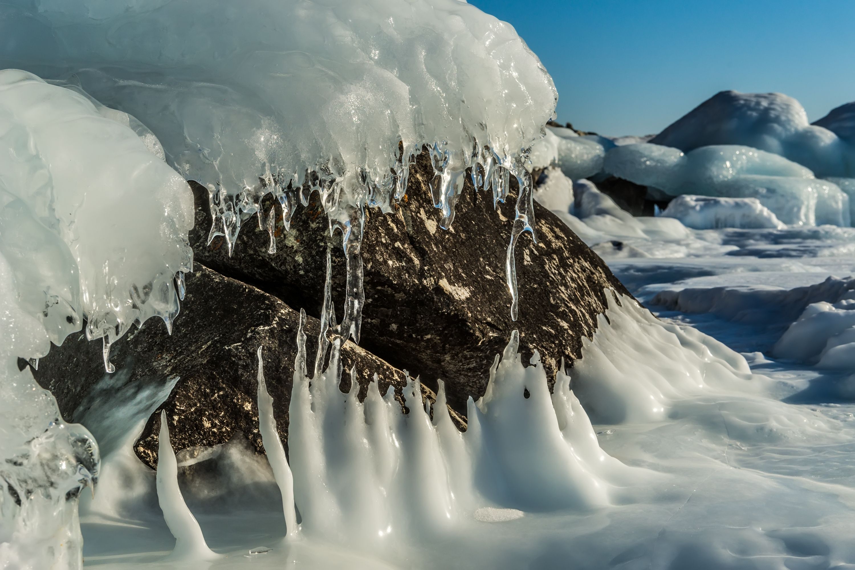 ирина ледник фото