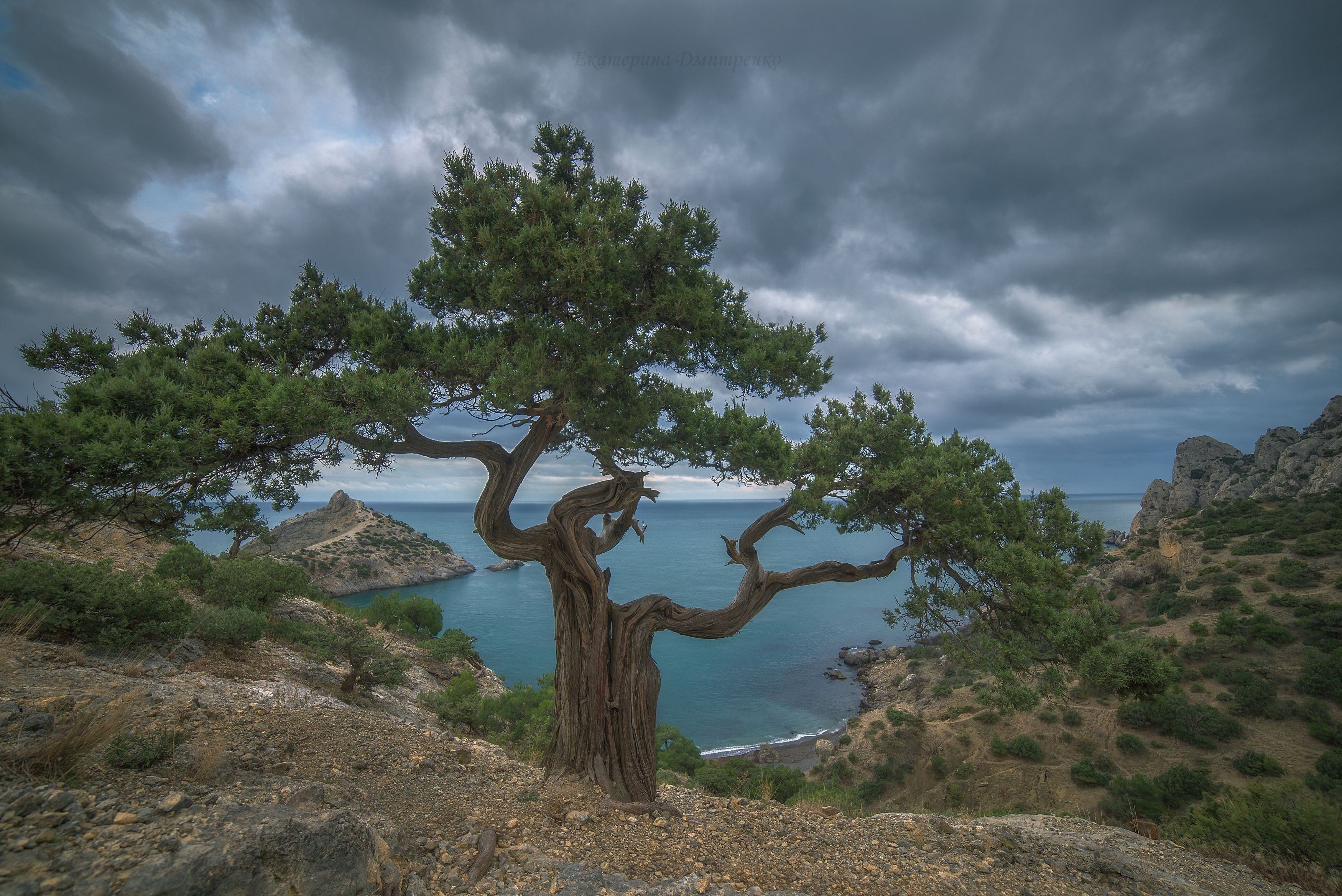 новый свет, крым, море, пейзаж, зима, природа, судак, горы, crimea, landscape, Дмитренко Екатерина