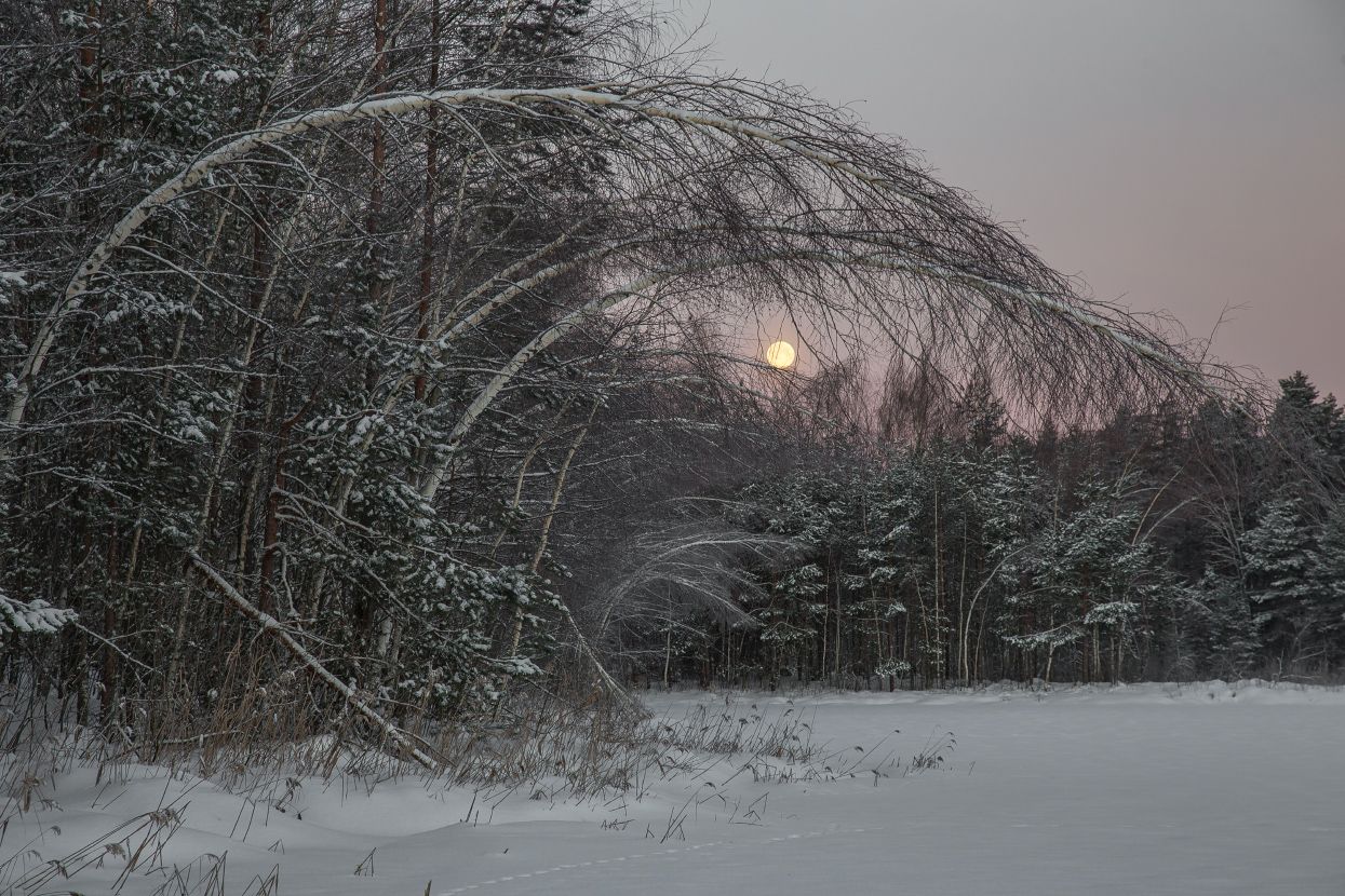 утро мороз рассвет луна  закат серково наледь, Дмитрий Алексеев