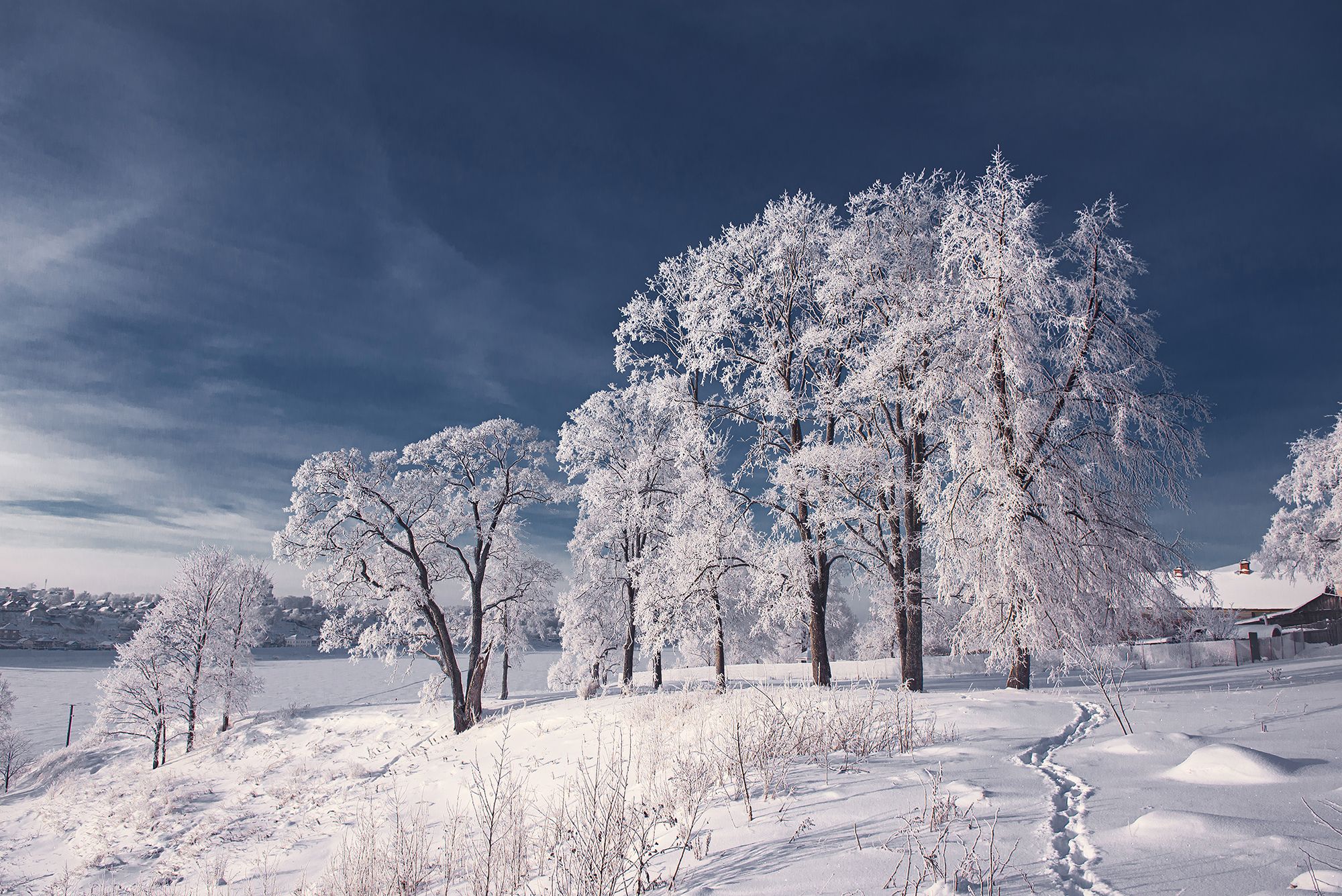 тутаев романов-борисоглебск зима левый берег валы иней солнце голубое небо деревья, Сальников Евгений