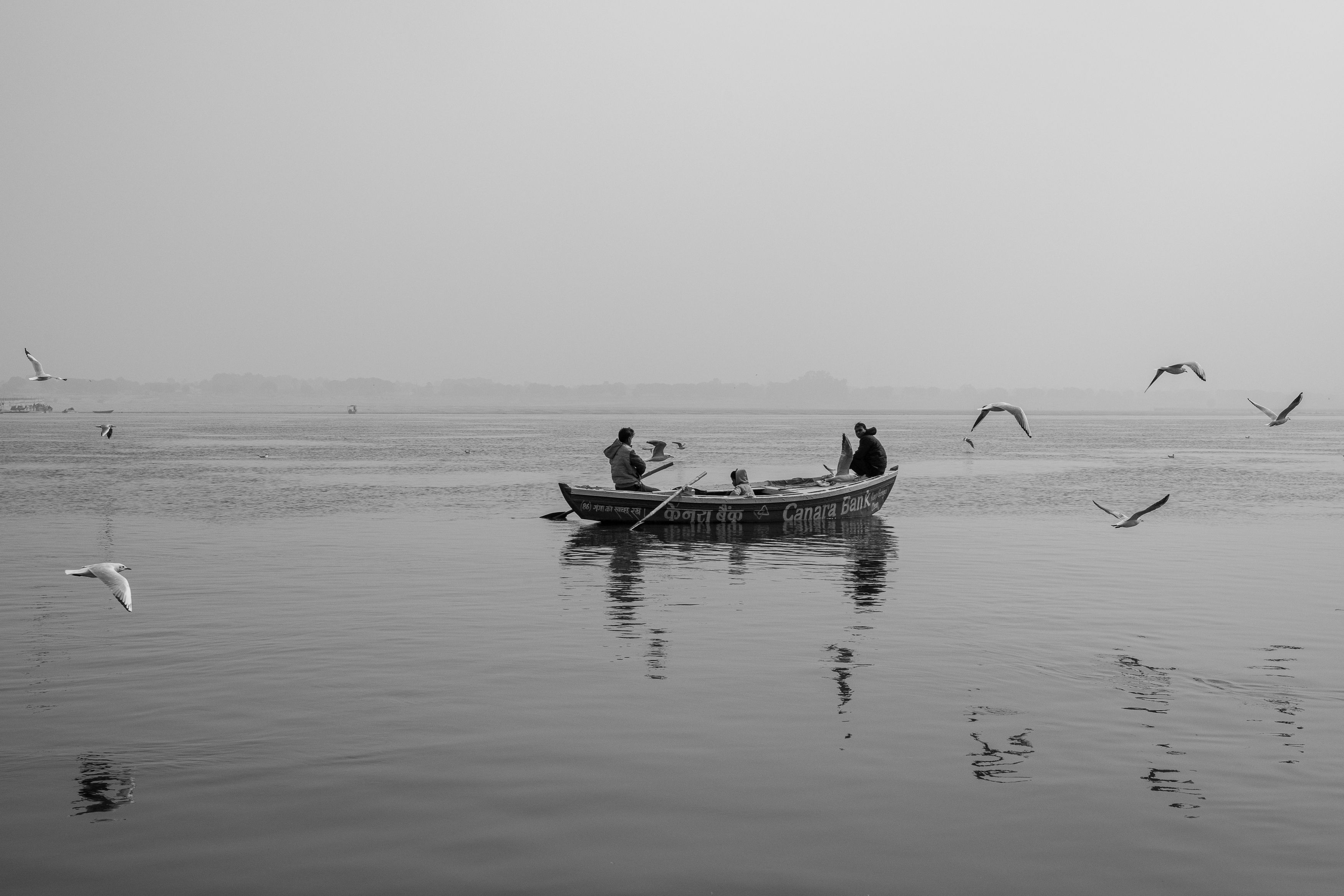 Monochrome, Travel, Boats, Birds, Flying, River, Ganga, NAVIN AGARWAL