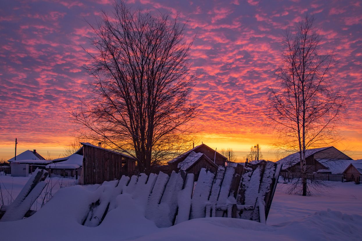 утро мороз январь рассвет серково цвет, Дмитрий Алексеев