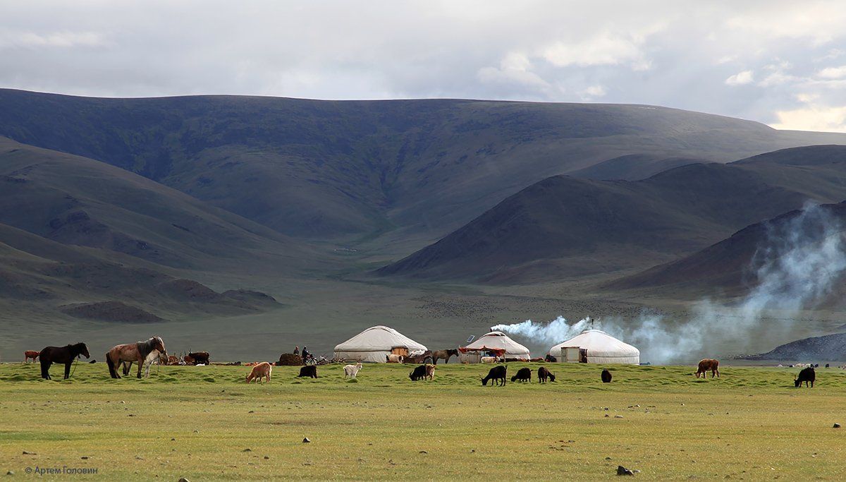 Монголия, Степь, Юрты, Артем Головин