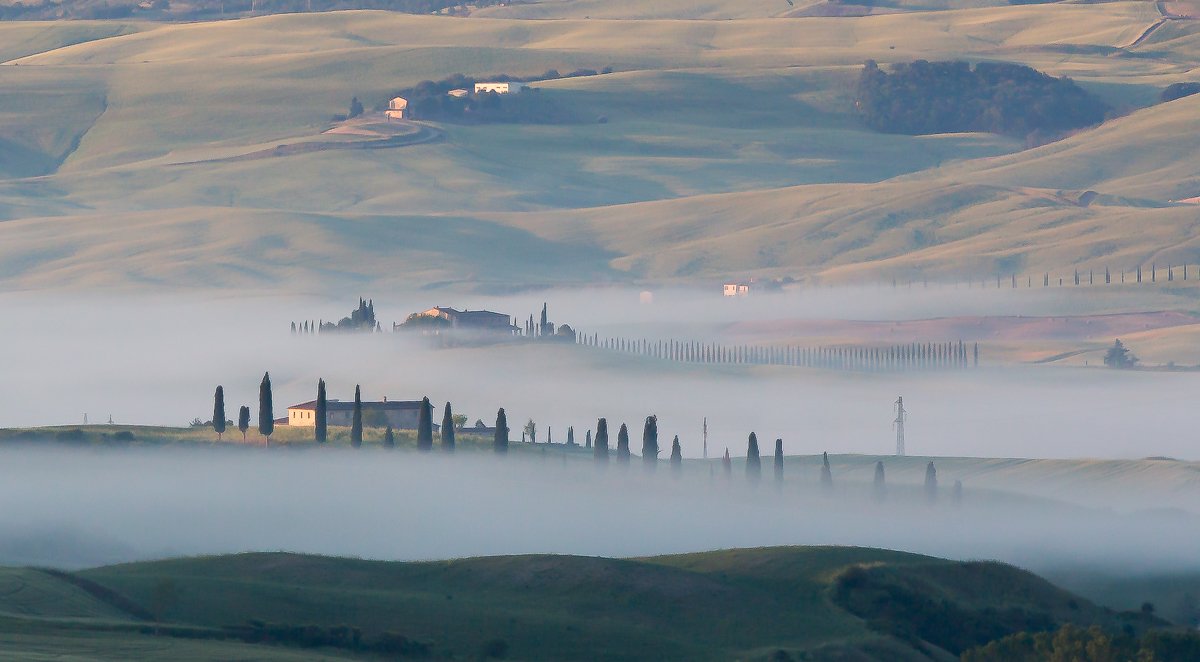 , Лядимов Дмитрий