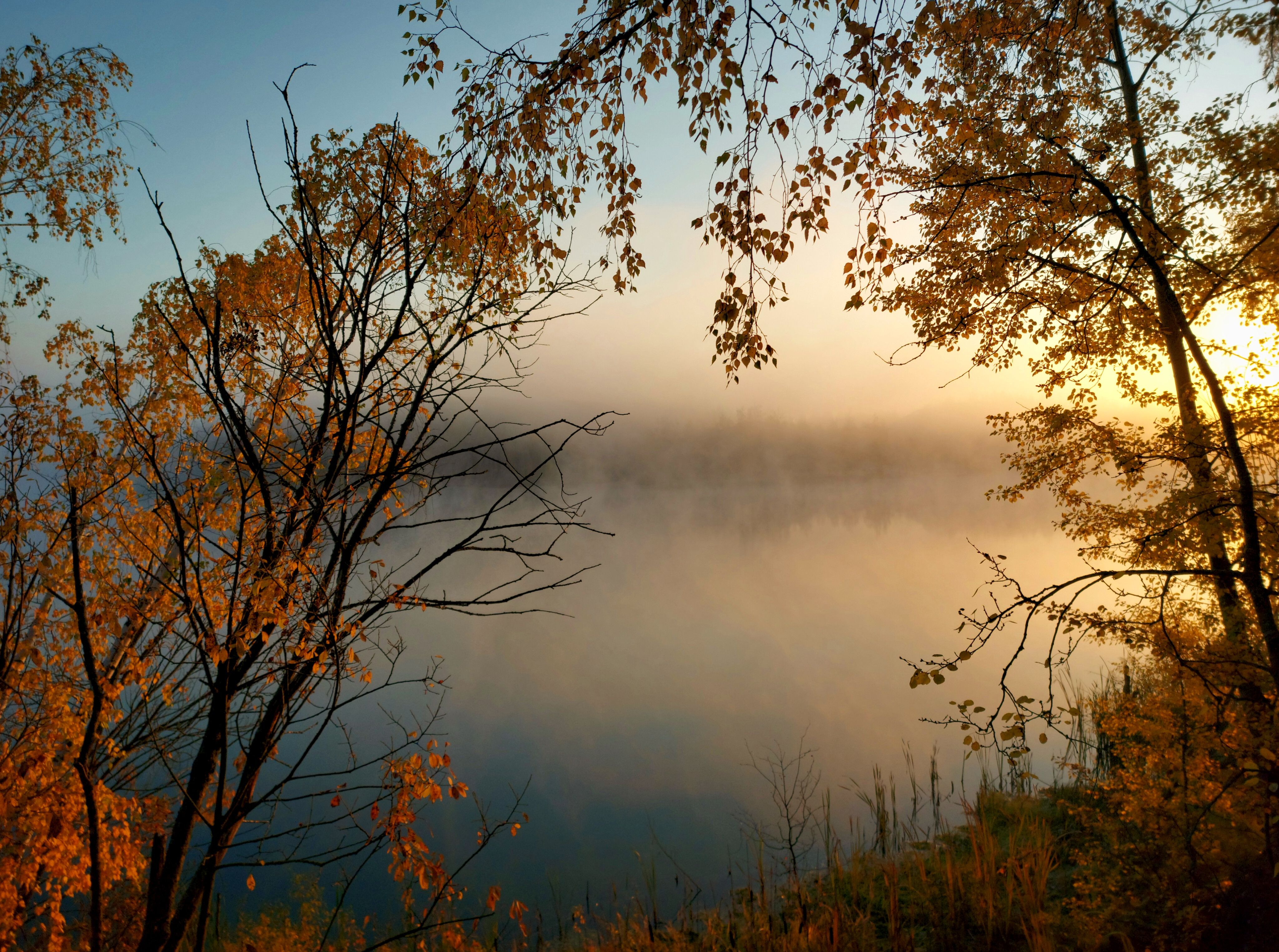туман, рассвет, осень, озеро, карьер, Валерий Савостьянов