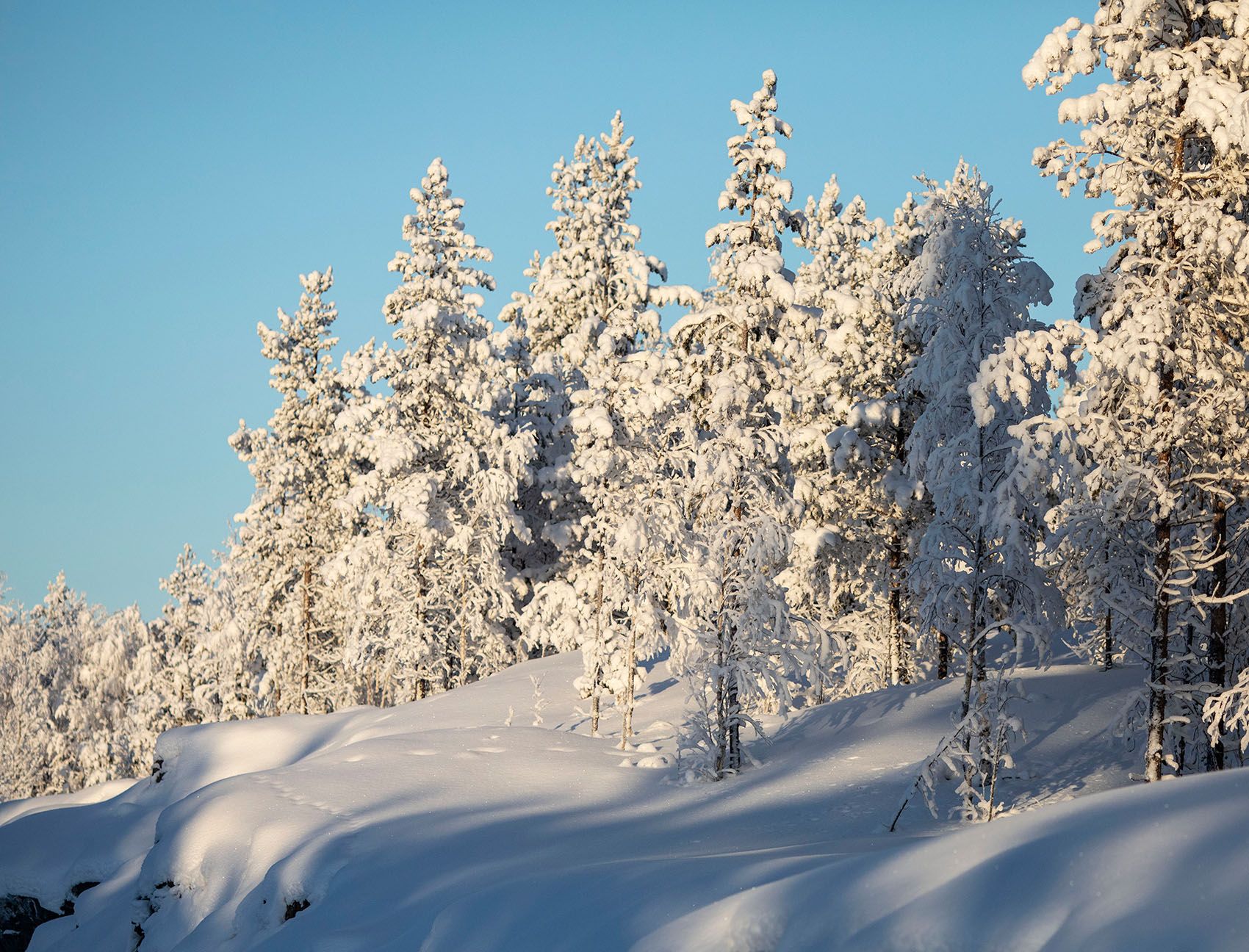 пейзаж,север,зима,природа,красота, landscape, beautiful, north, winter, nature, Стукалова Юлия