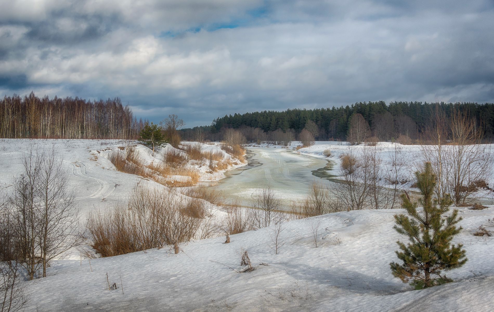 проталины, река, снег, лёд, лес, Сергей Аникин