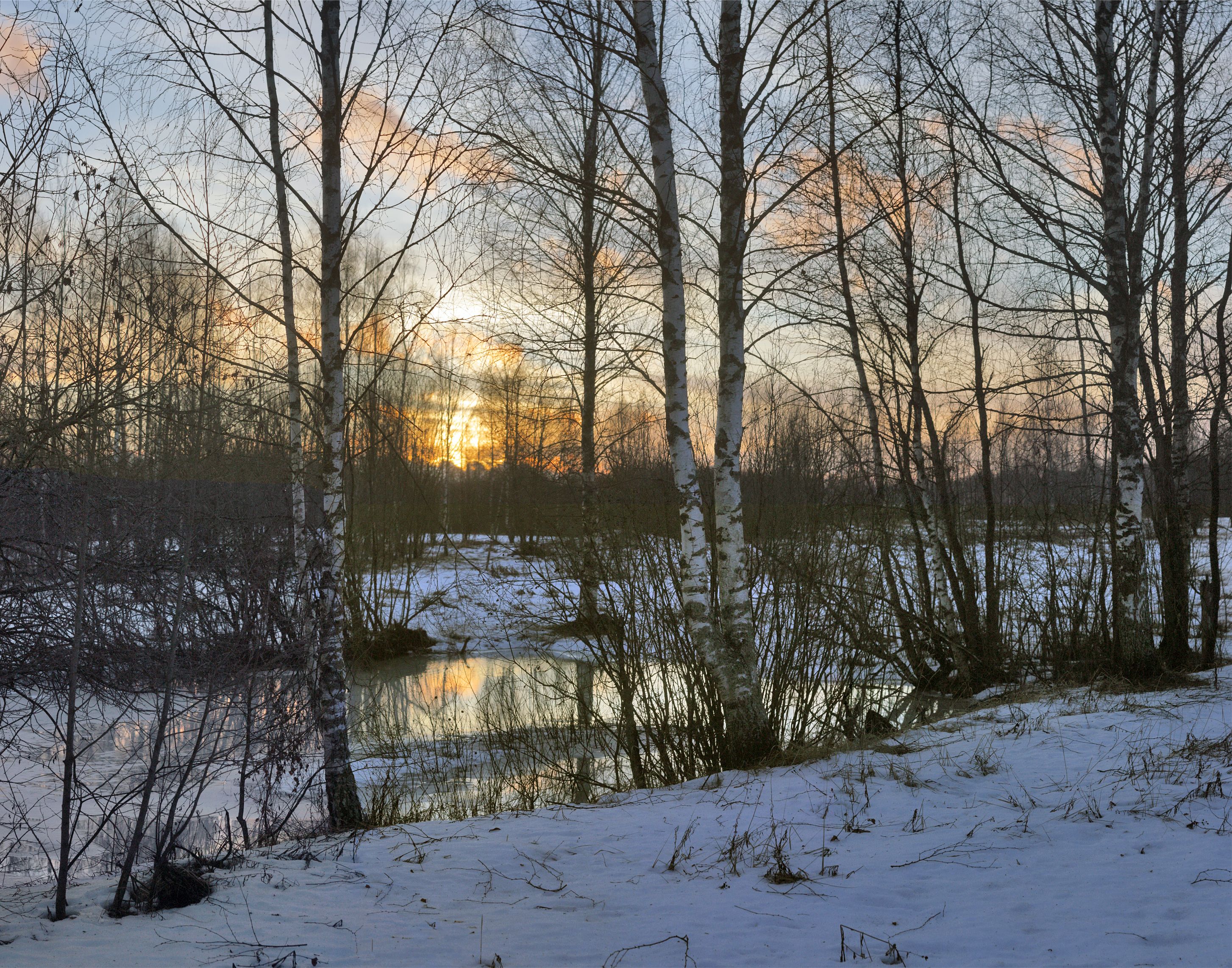 зима , восход , лес, Александр Свистков