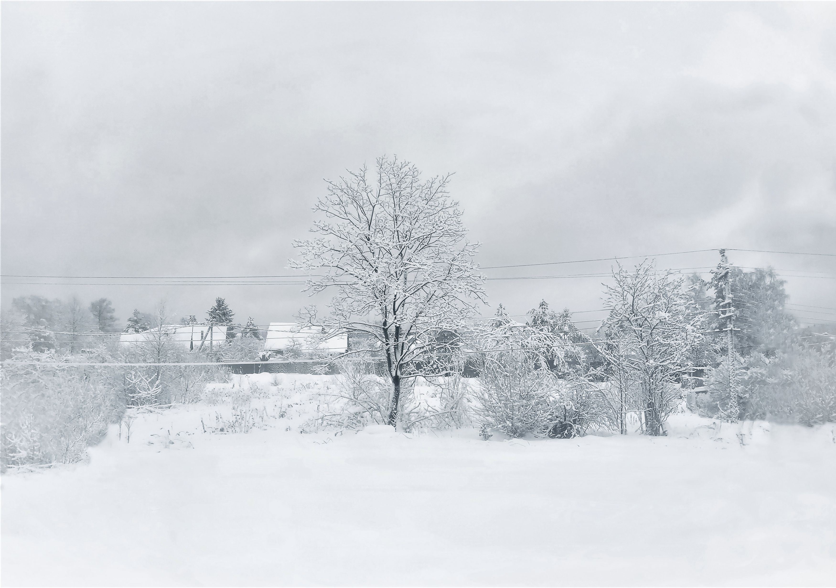 пейзаж снег зима деревня природа snow landscape winter, Рохмистрова Мария