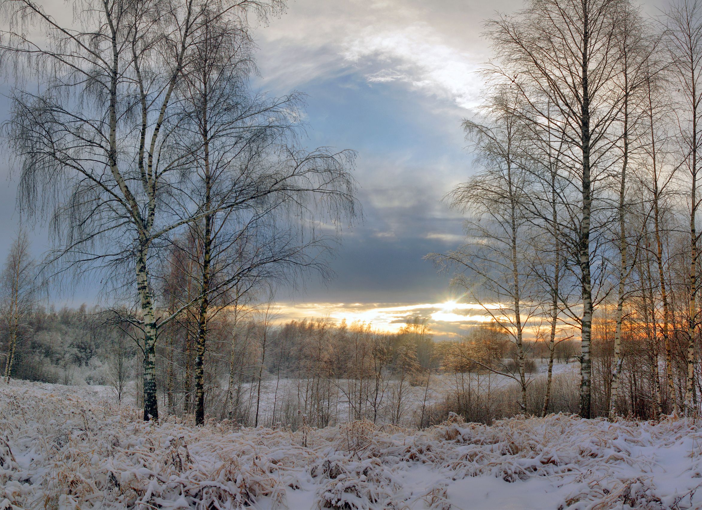 зима , закат , поле , лес, Александр Свистков