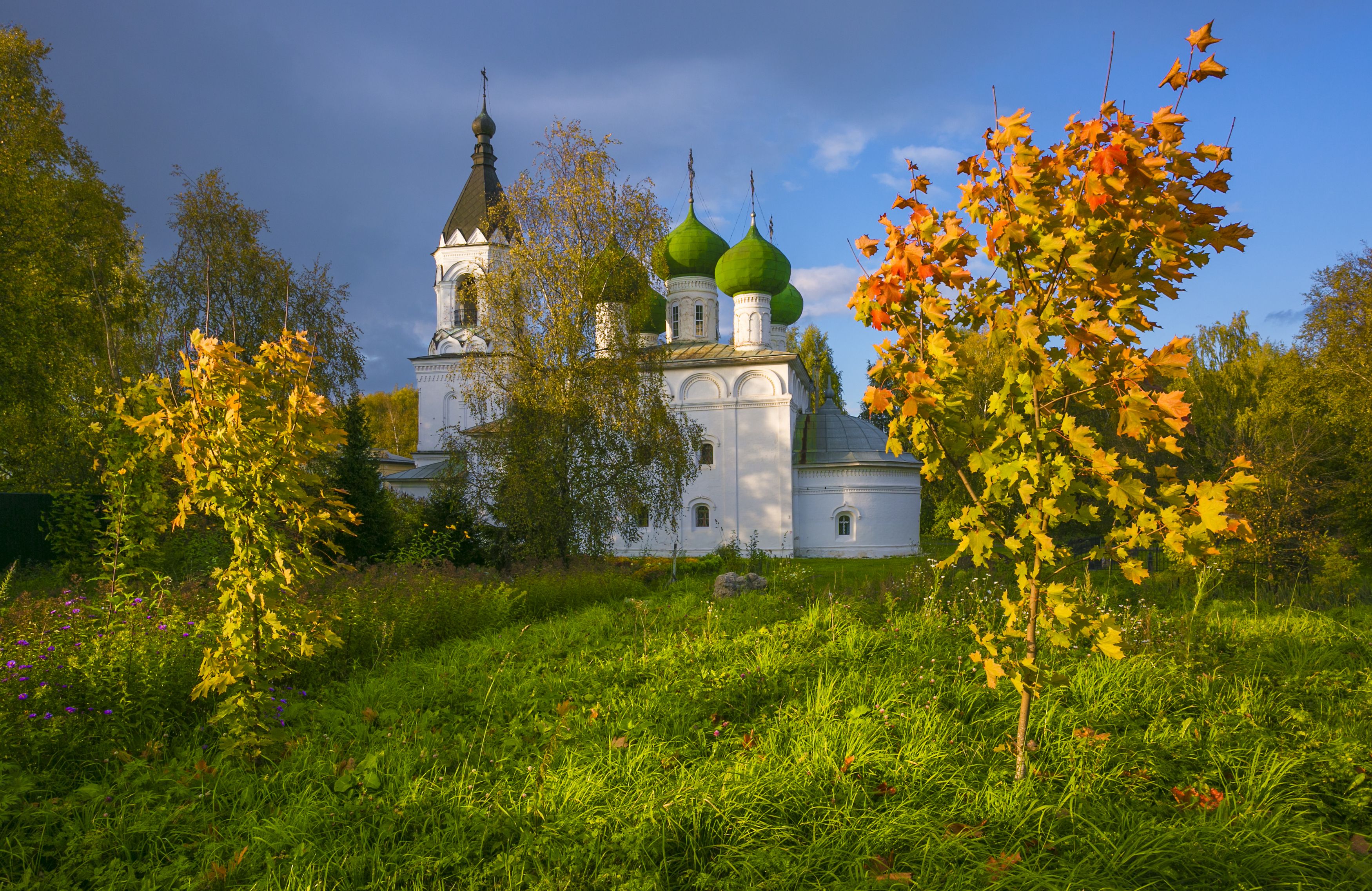 вологда, монастырь, осень, Наталия Колтакова