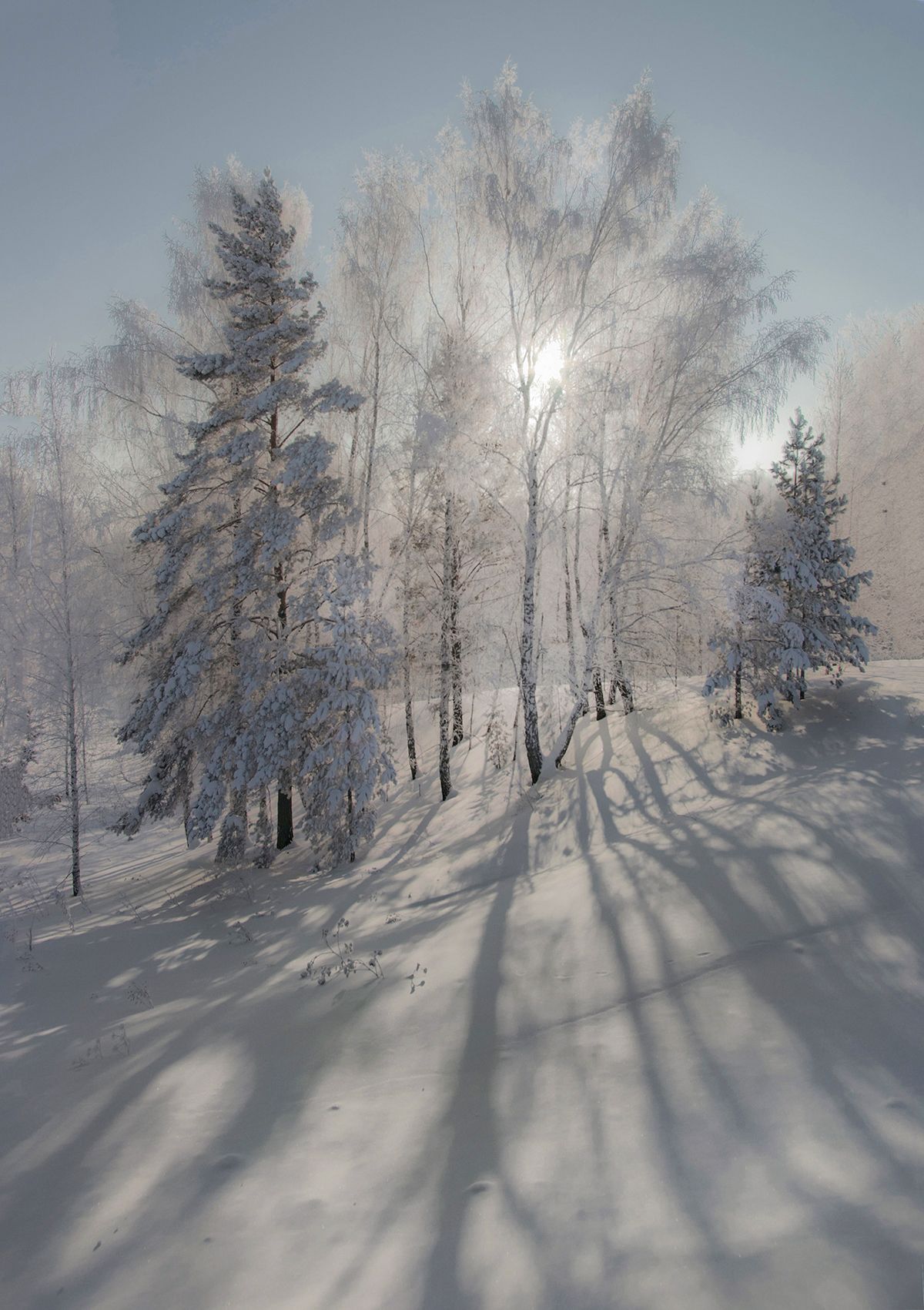 зима, сибирь, свет, тени, снег, Чичкин Валерий