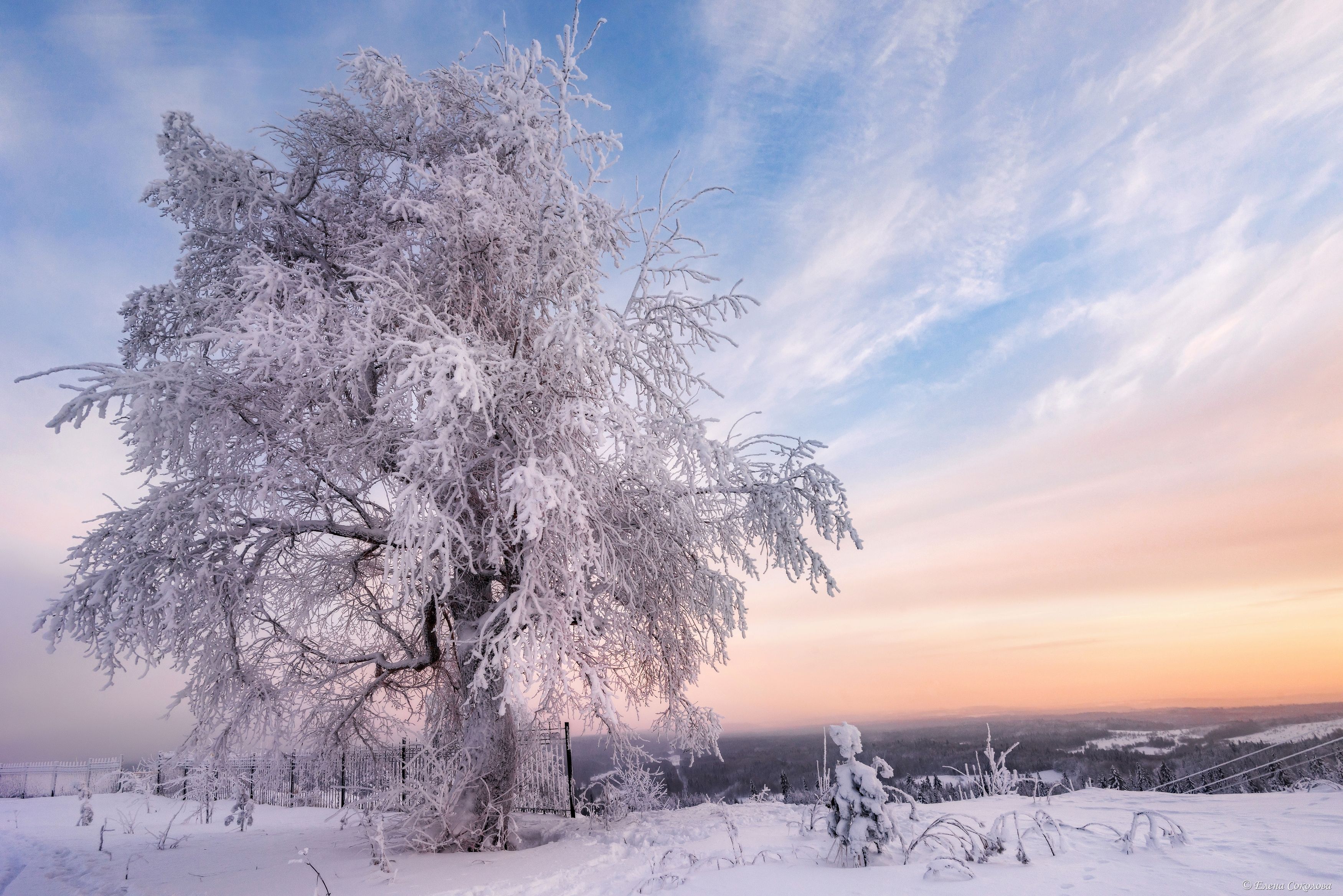 белая гора, вечер, закат, пермский край, мороз, зима, снег, белогорский монастырь, Соколова Елена