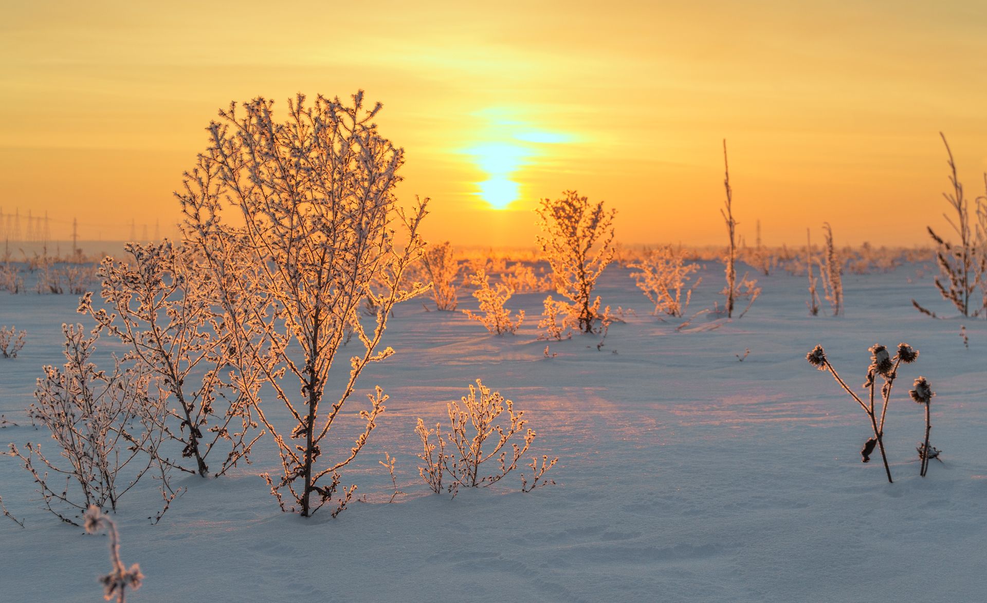 зима, солнце, снег, утро, рассвет, оренбургская область, Vasilyev Andrey