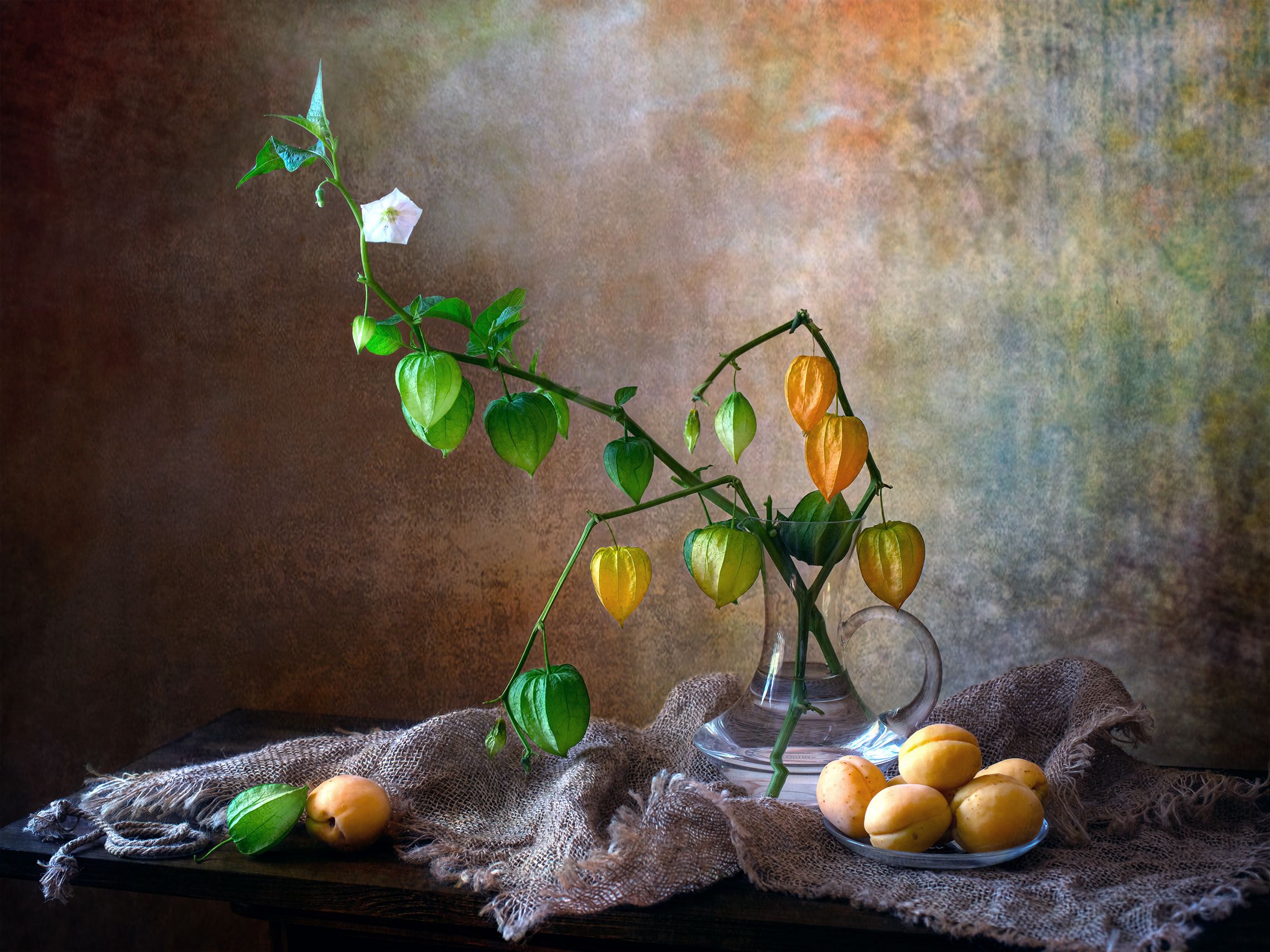 миламиронова, фотонатюрморт, stilllife, авторскоефото, художественноефото, букет, натюрмортсцветами, физалис, абрикосы, фрукты, цветы, Миронова Мила