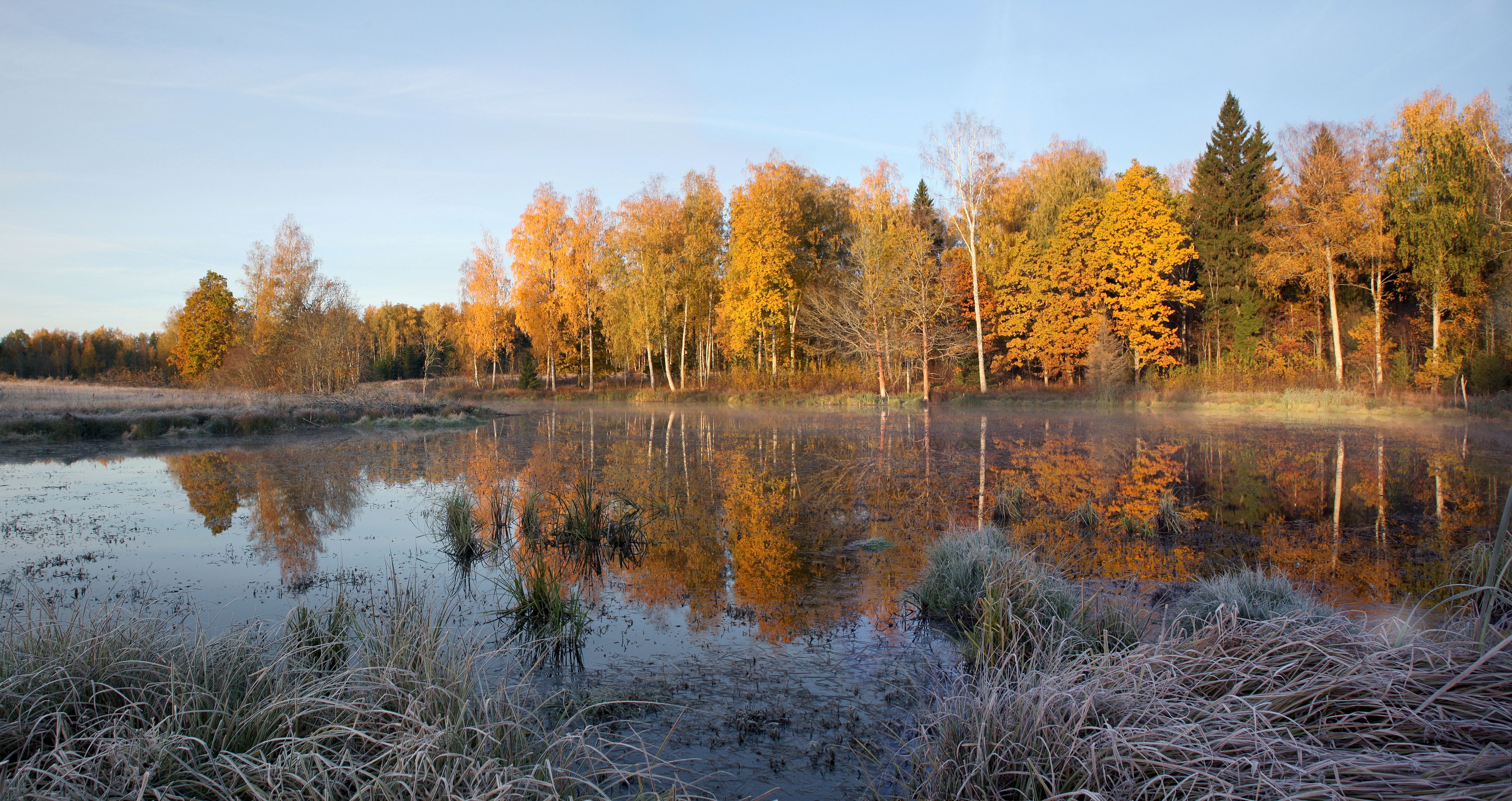 осень , лес , пруд, Александр Свистков