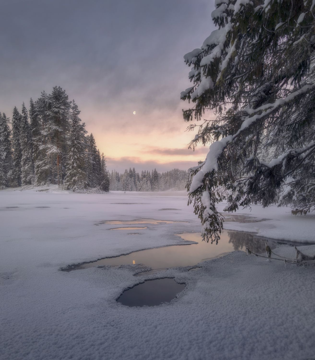 утро озеро зима полынья иней луна рассвет, Сергей Буторин