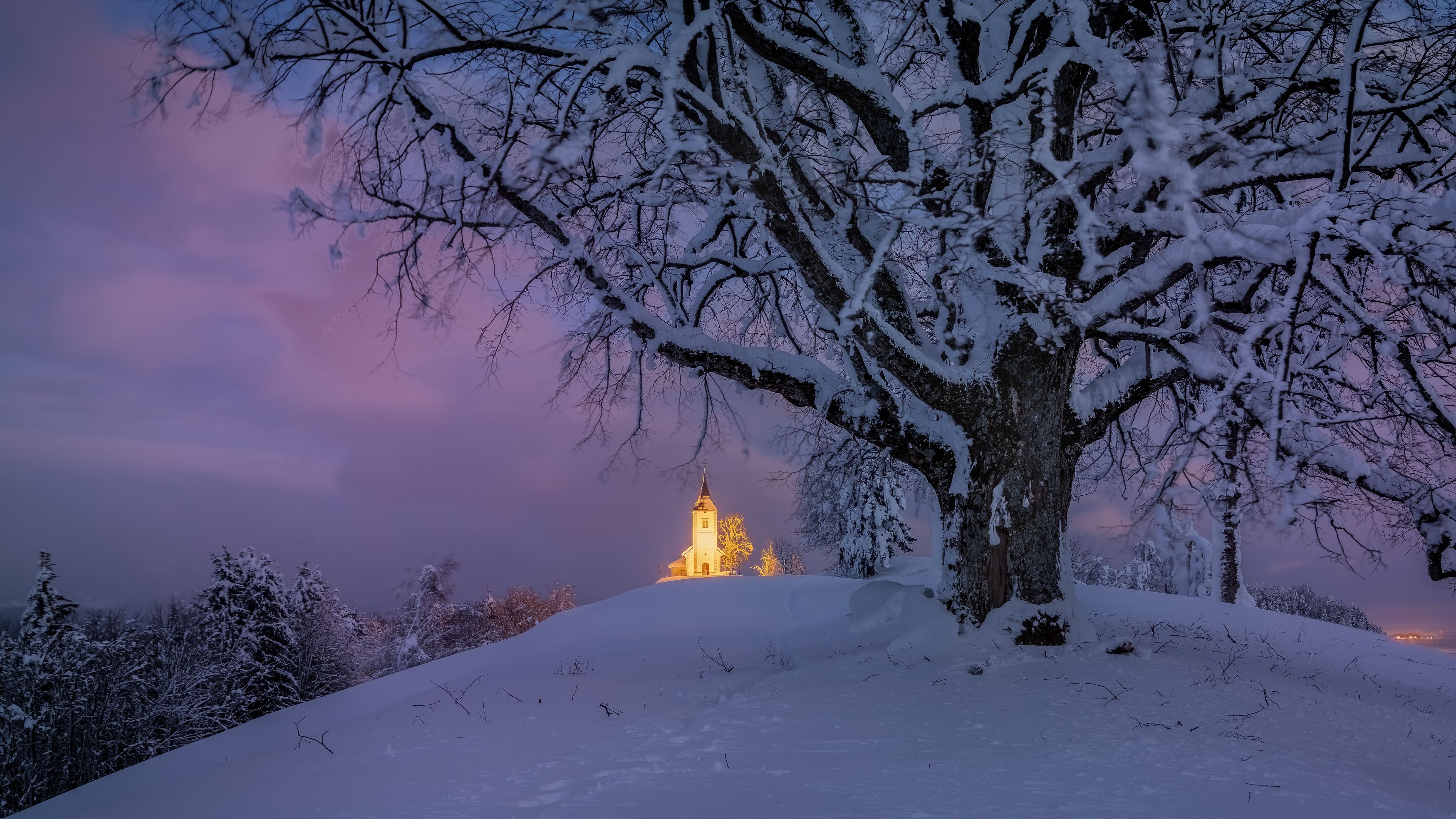 evening church tree winter light, Bor Rojnik