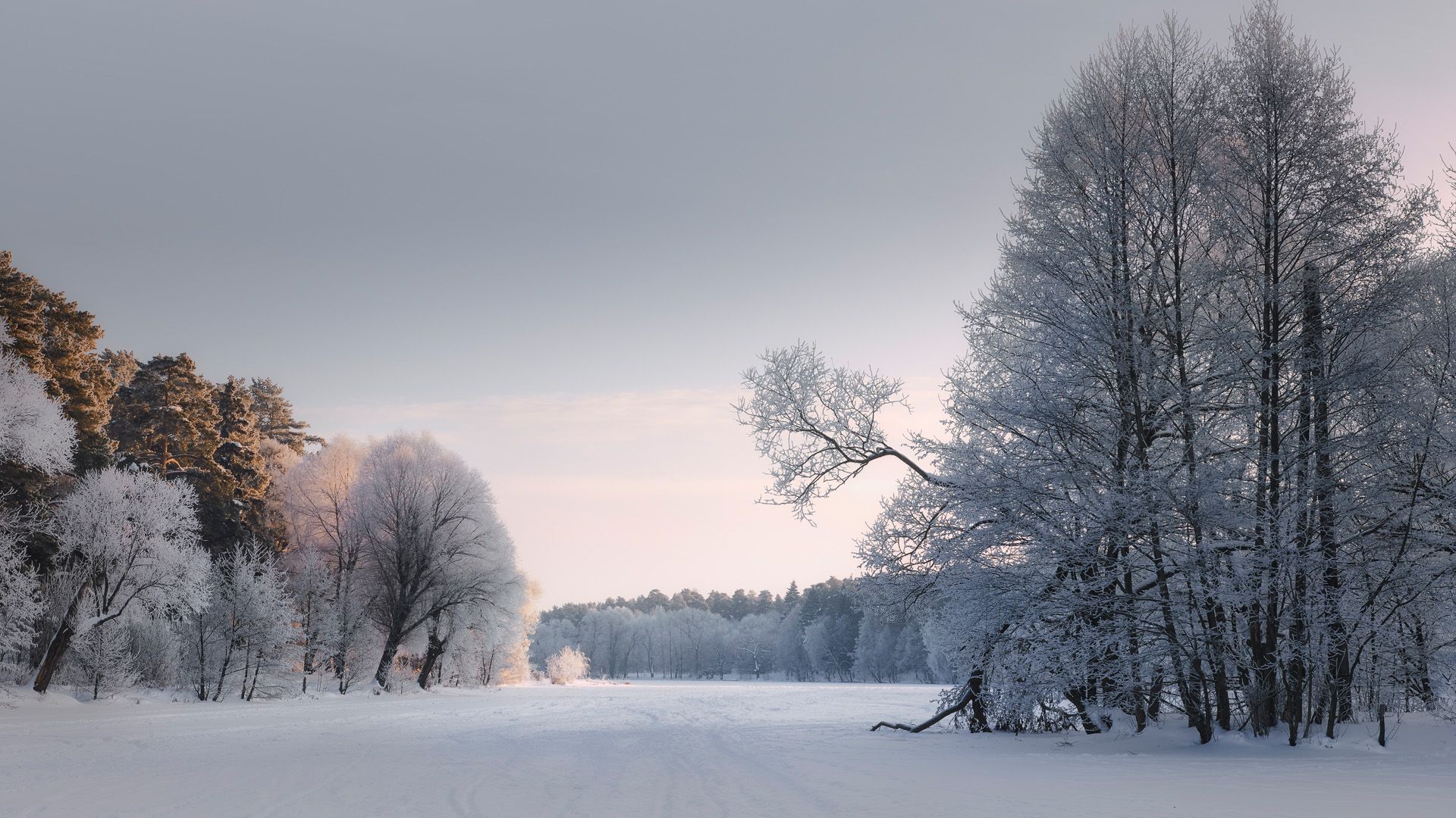 лес, зима, снег, озеро, forest, winter, snow, lake, Валерий Вождаев