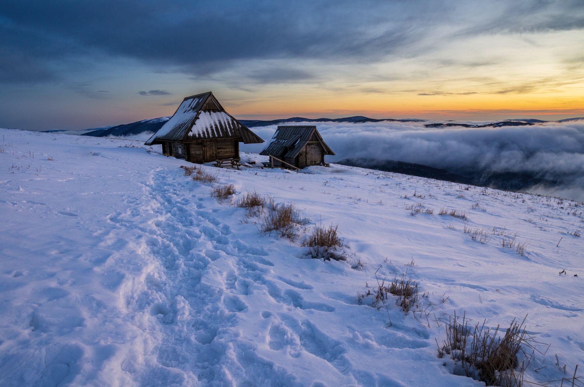 winter, bieszczady, tree, forest, mountains, snow, frozen,  Mirosław Pruchnicki