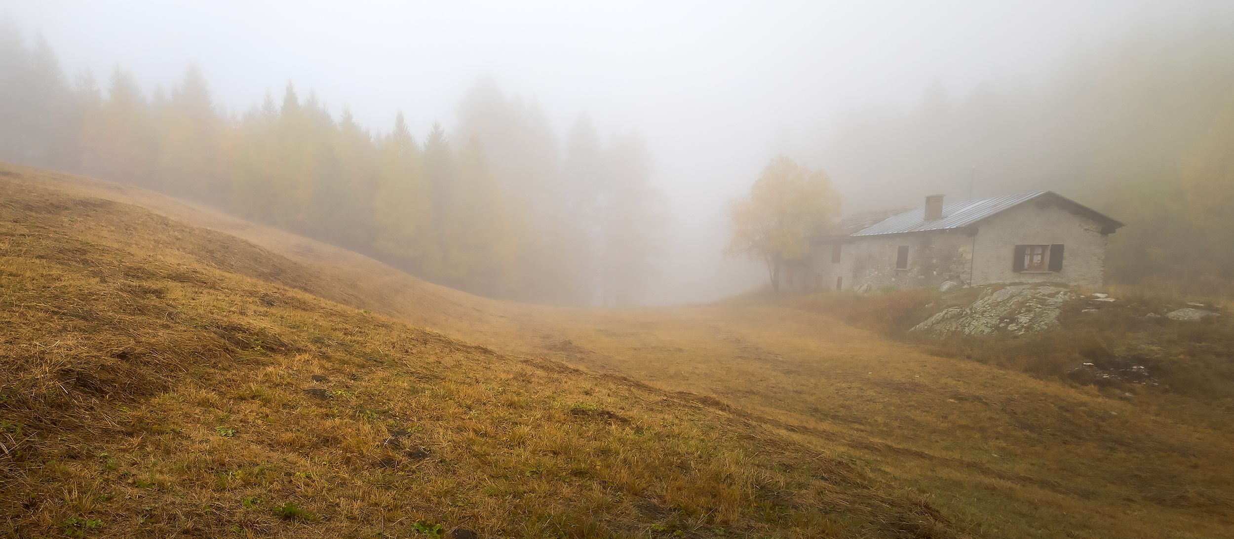 otoño italia aosta niebla alerce cabaña, Blanco Emilio