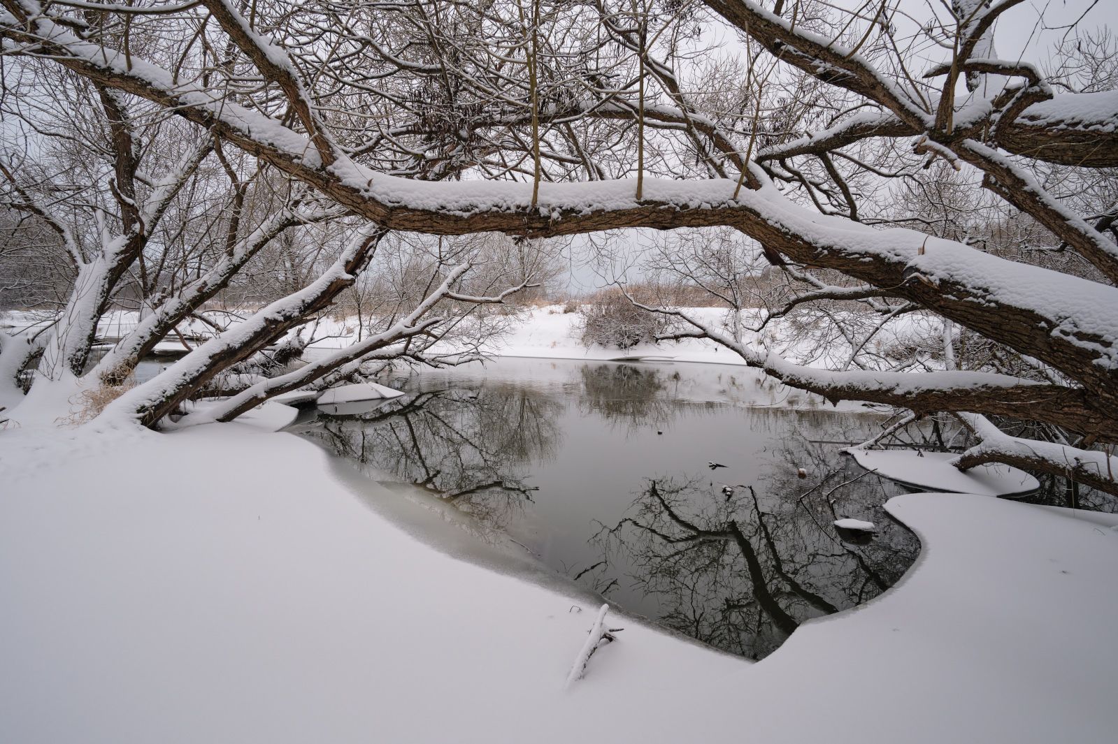 река, подмосковье,воря,зима,снег,деревья, Горшков Игорь