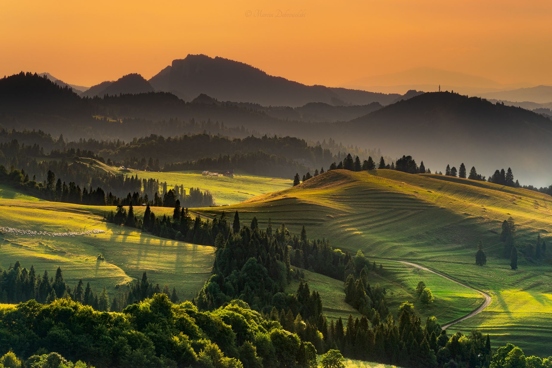 rozdziela, pieniny, polska, poland, mountains, mountainscape, landscape, sunset, tuscany, trees, trzy korony, nikon, tamron, orange, krajobraz, pejzaż,  Marcin Dobrowolski