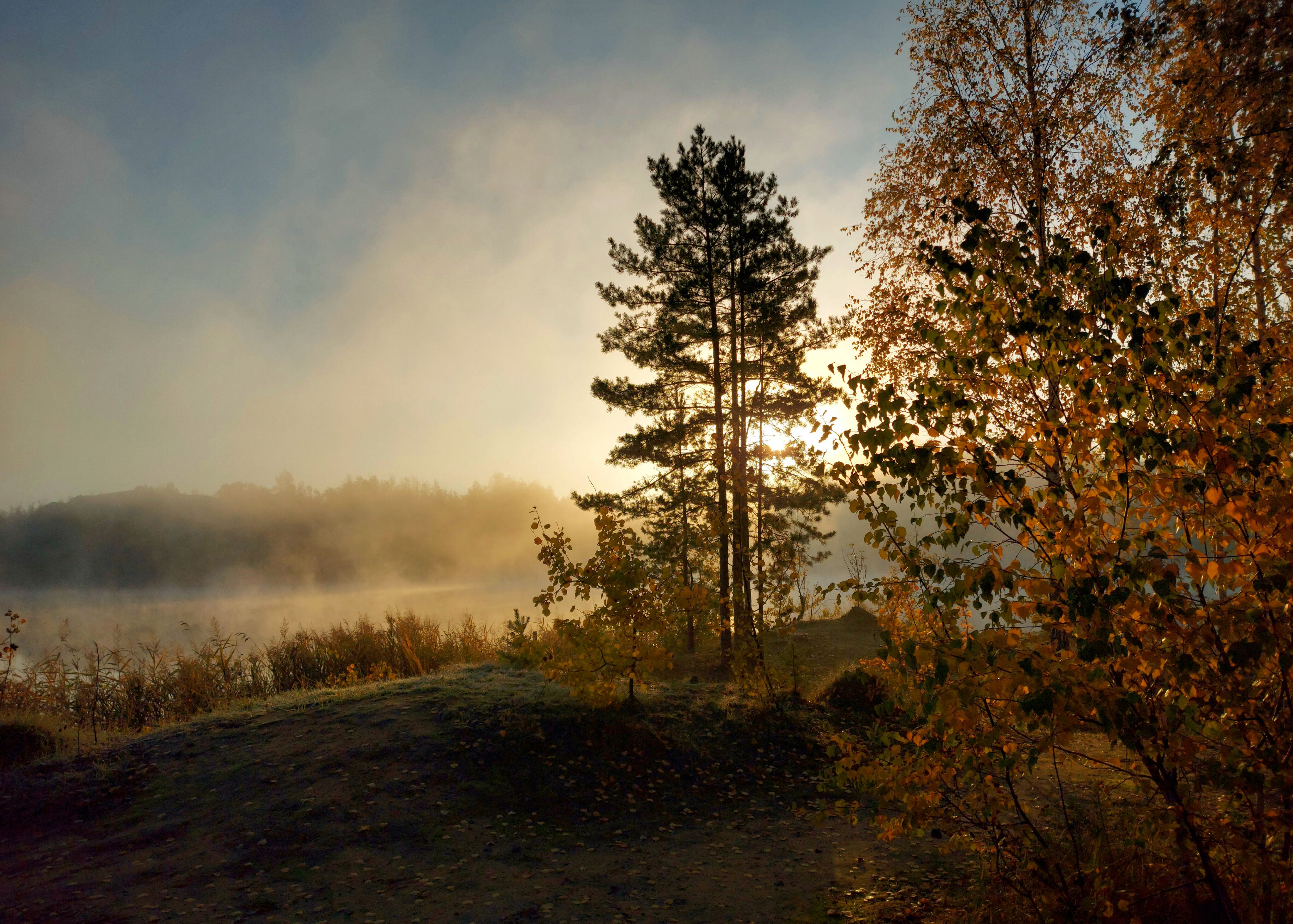 озеро, туман, рассвет, осень, природа, Валерий Савостьянов