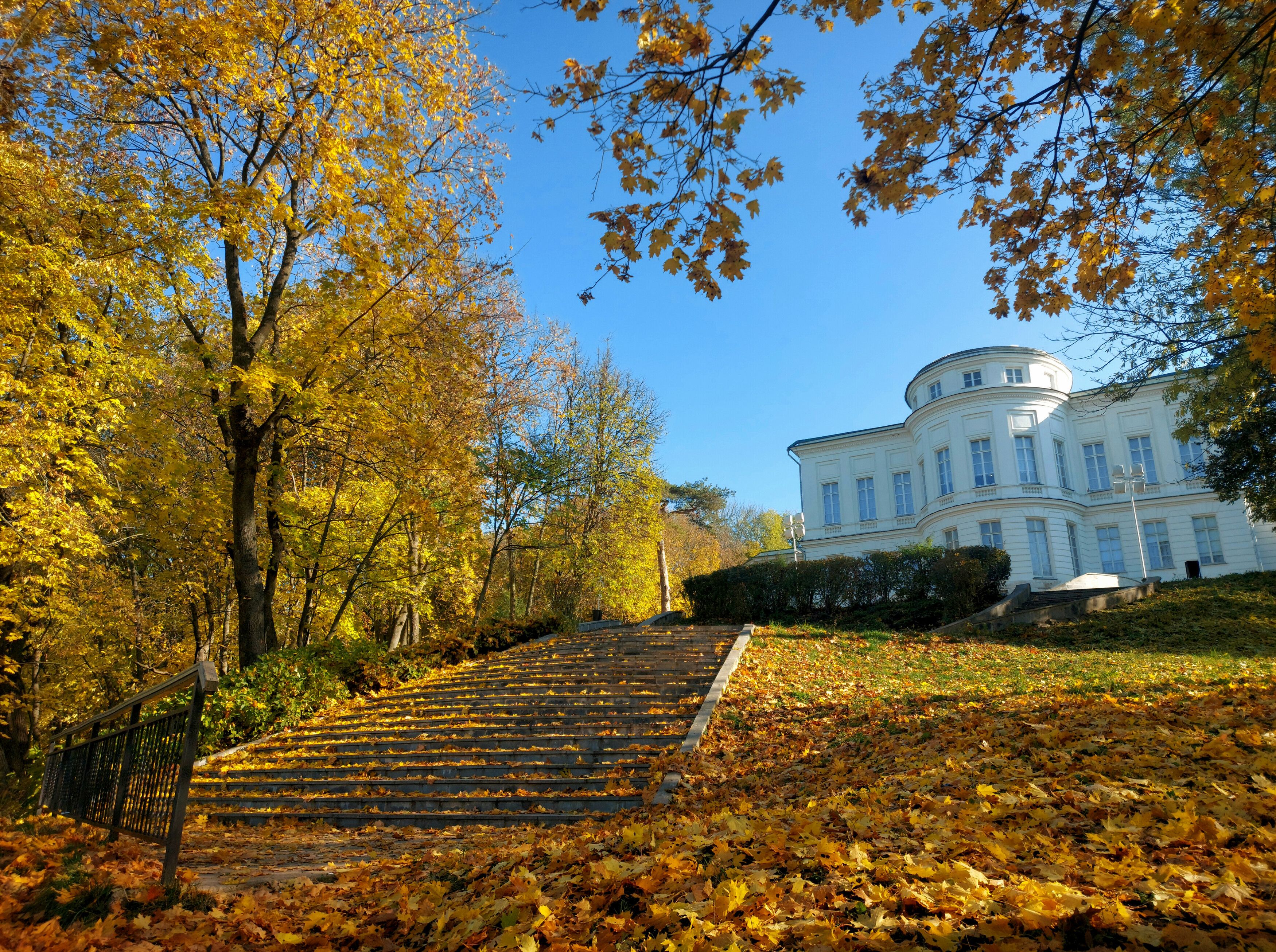 осень, парк, листья, утро, солнце, дворец, Валерий Савостьянов