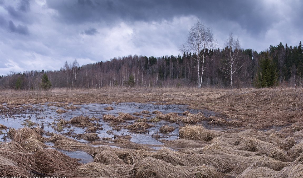 Апрель, Алексей Лобанов