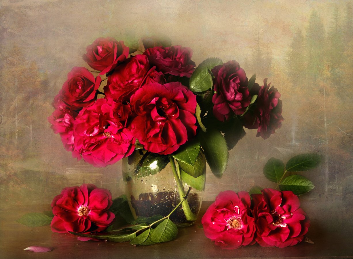 Букет роз, Красивые цветы, Красные роза, Вера Павлухина
