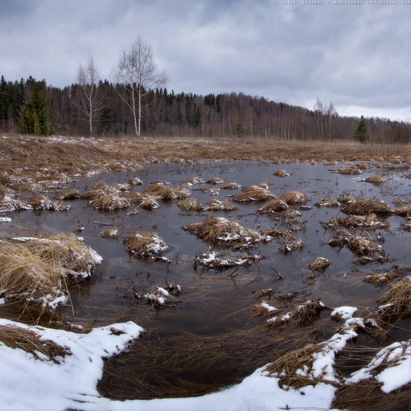 , Алексей Лобанов