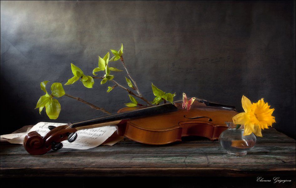 Весна, Музыка, Натюрморт, Скрипка, Струнные музыкальные инструменты, Eleonora Grigorjeva